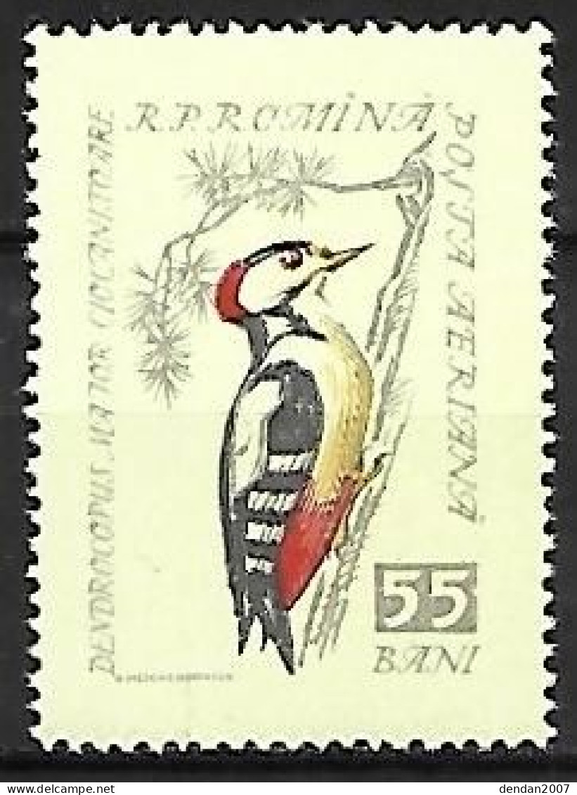 Rumania - MNH ** 1959 :   Great Spotted Woodpecker  -  Dendrocopos Major - Picchio & Uccelli Scalatori