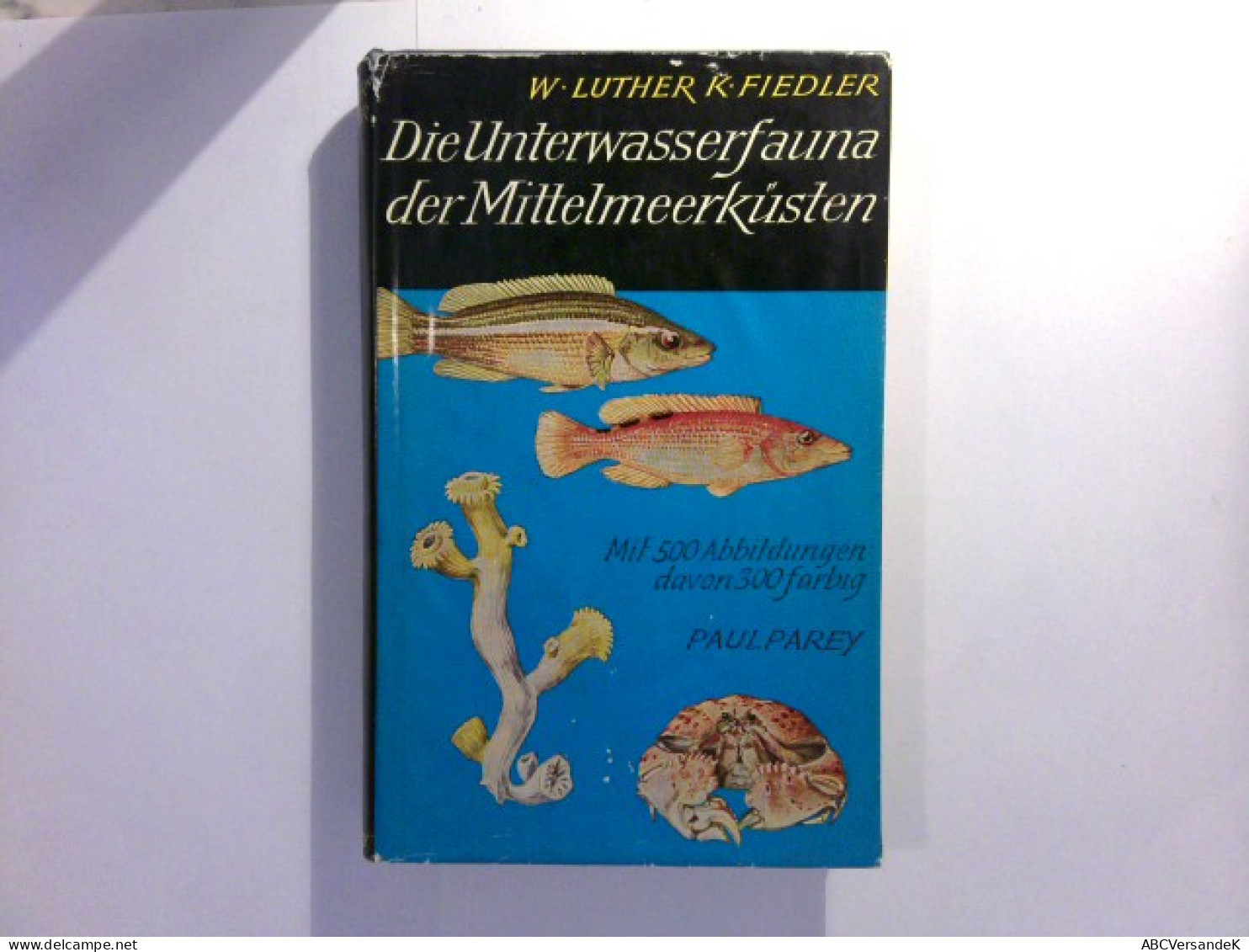 Die Unterwasserfauna Der Mittelmeerküsten - Ein Taschenbuch Für Biologen Und Naturfreunde - Animaux