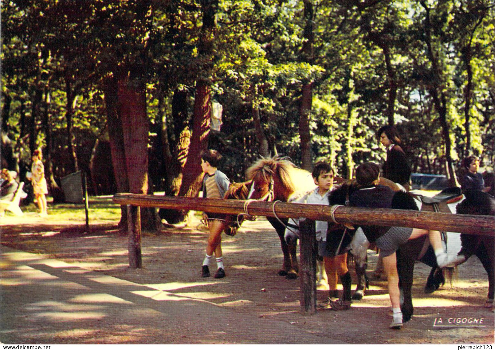 76 - Le Havre - En Forêt De Montgeon - Le Coin équestre - Forêt De Montgeon