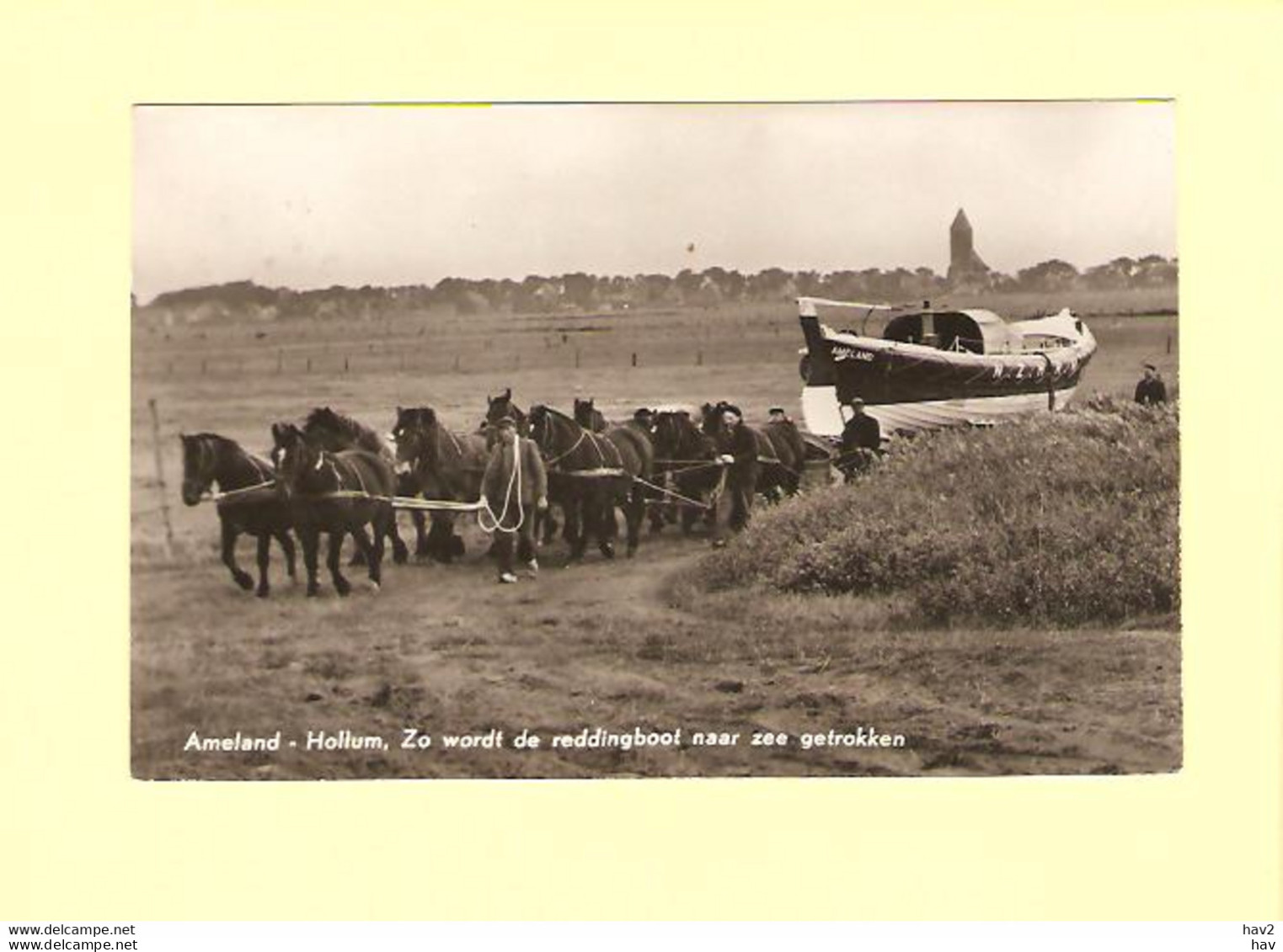 Ameland Nes Paarden Reddingsboot Naar Zee RY29373 - Ameland