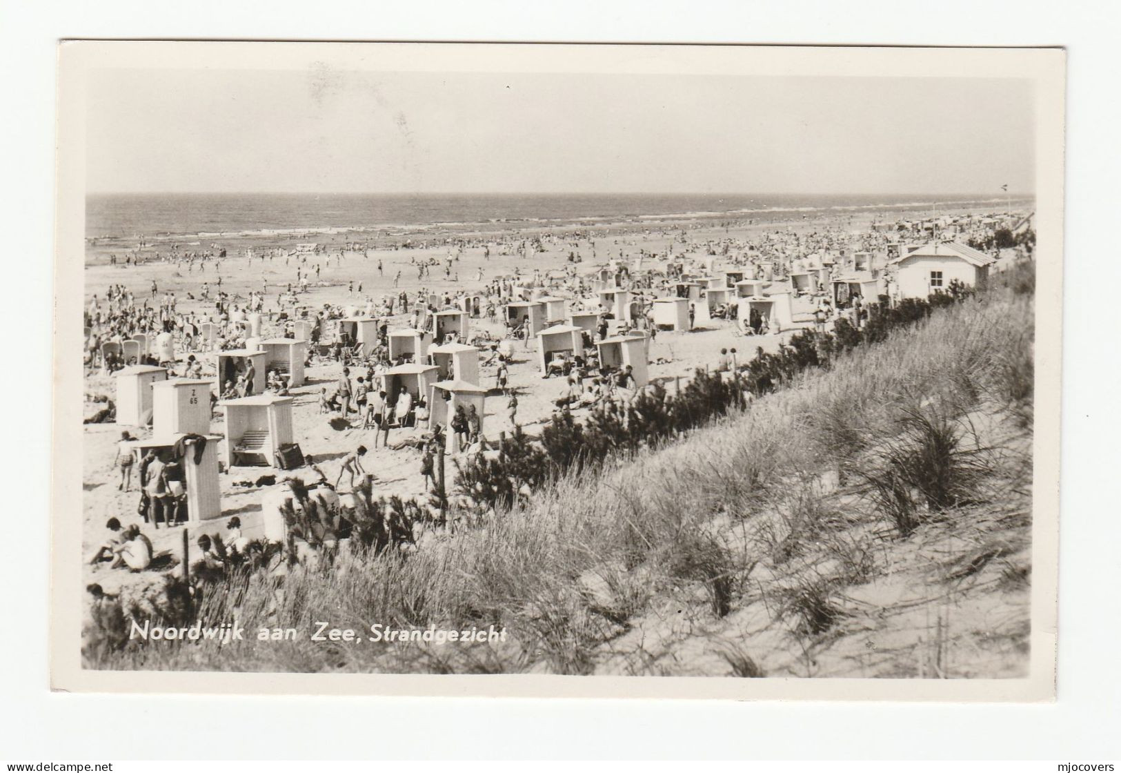 1956 Photo Postcard NOORDWIJK Aan ZEE  BEACH Bathing Huts Netherlands To Germany Cover Stamps - Noordwijk (aan Zee)