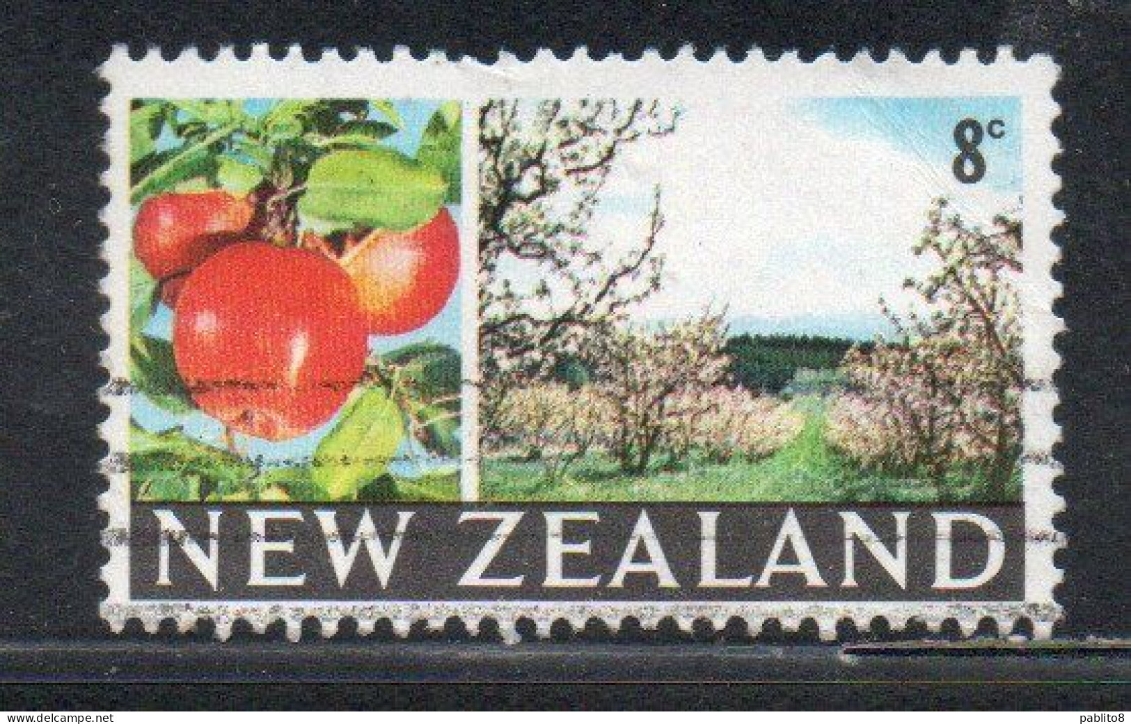 NEW ZEALAND NUOVA ZELANDA 1968 1969 APPLES AND ORCHARD 8c USED USATO OBLITERE' - Used Stamps