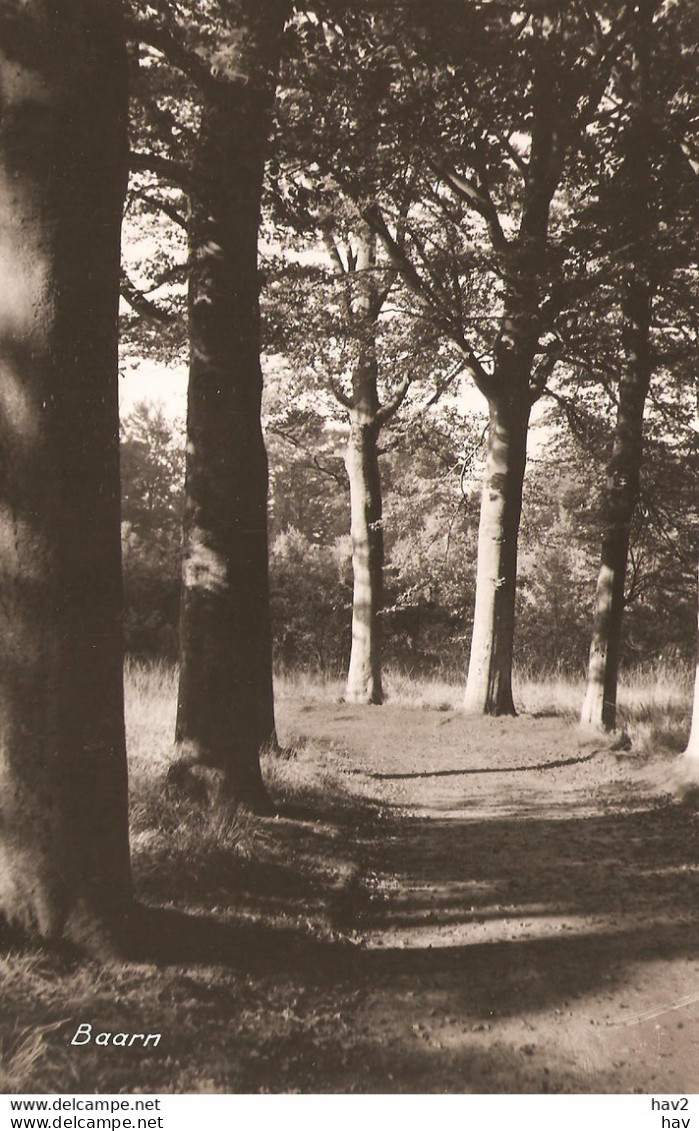 Baarn Bospad Foto Voor Prentbriefkaart KE3579 - Baarn