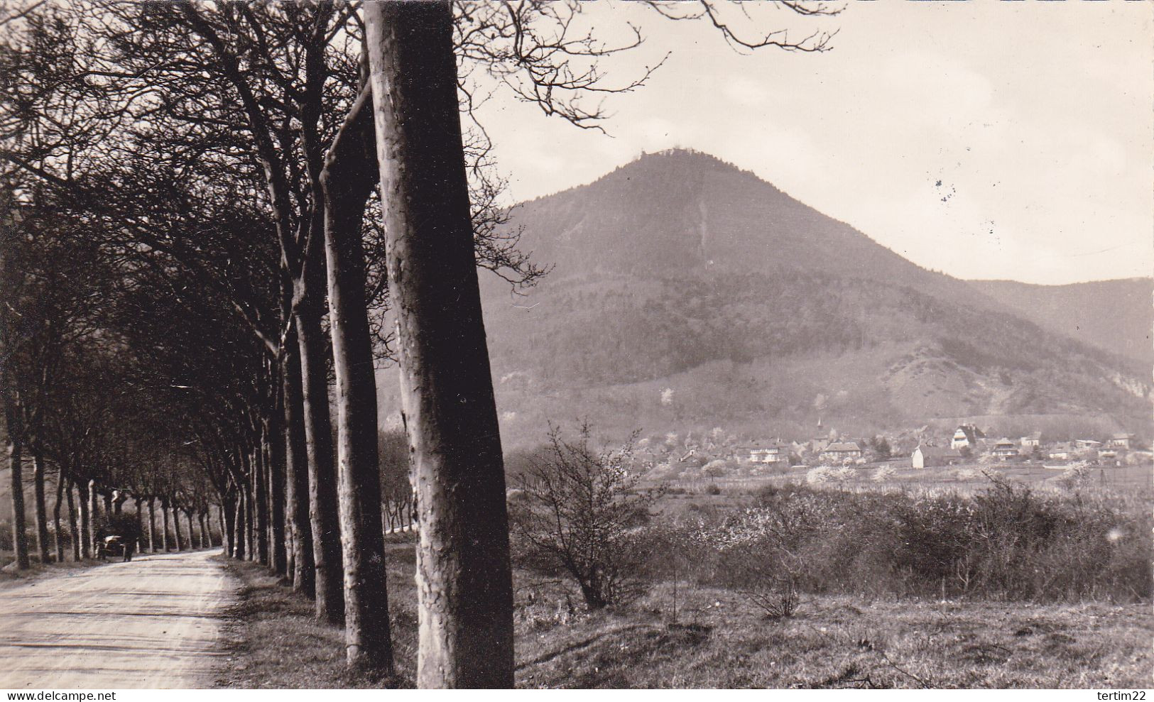 SAINT NABOR AU PIED DU MONT SAINTE ODILE . 88 - Saint Nabord