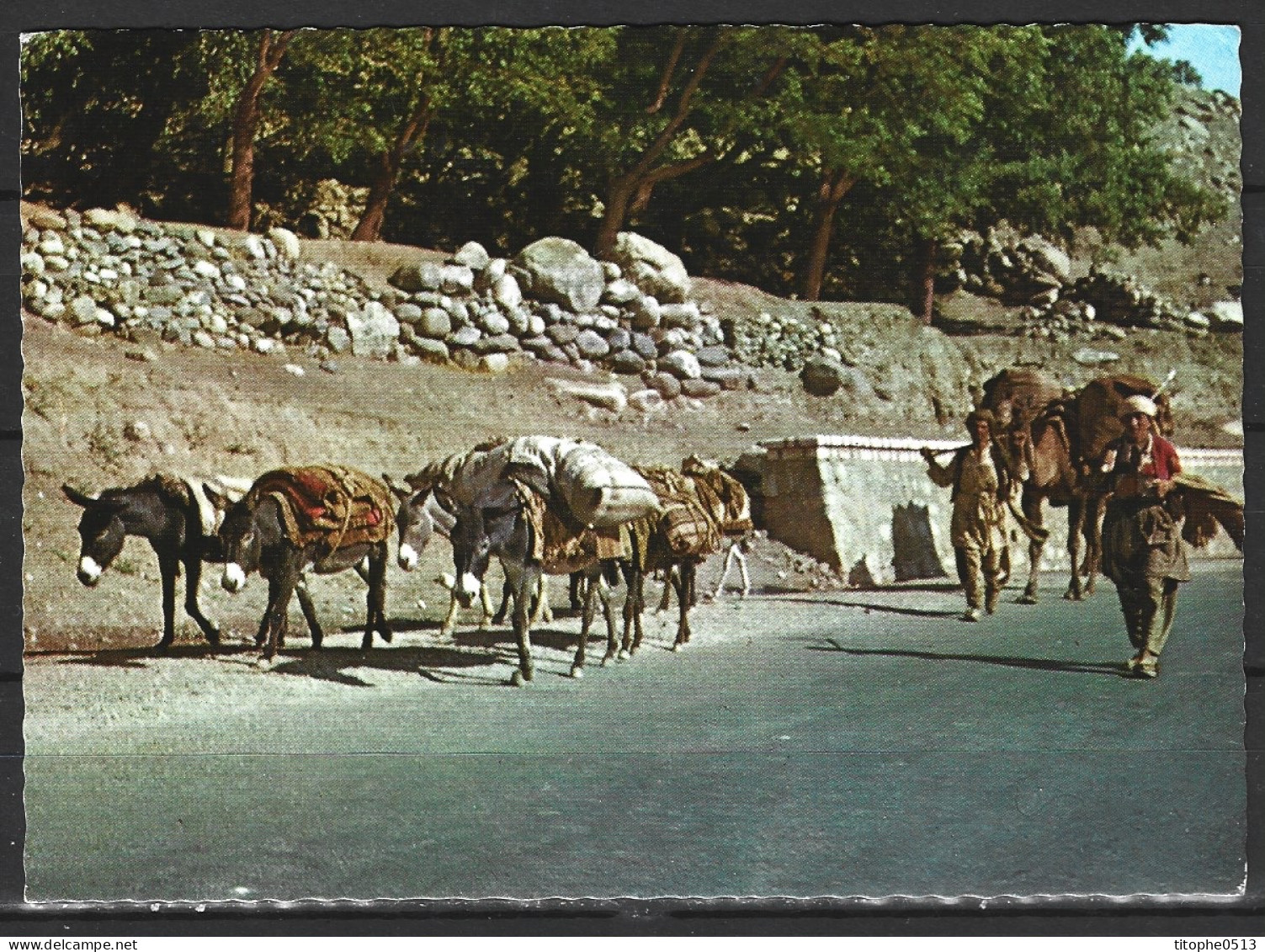AFGHANISTAN. Carte Postale Ayant Circulé. Salang Pass. - Afghanistan