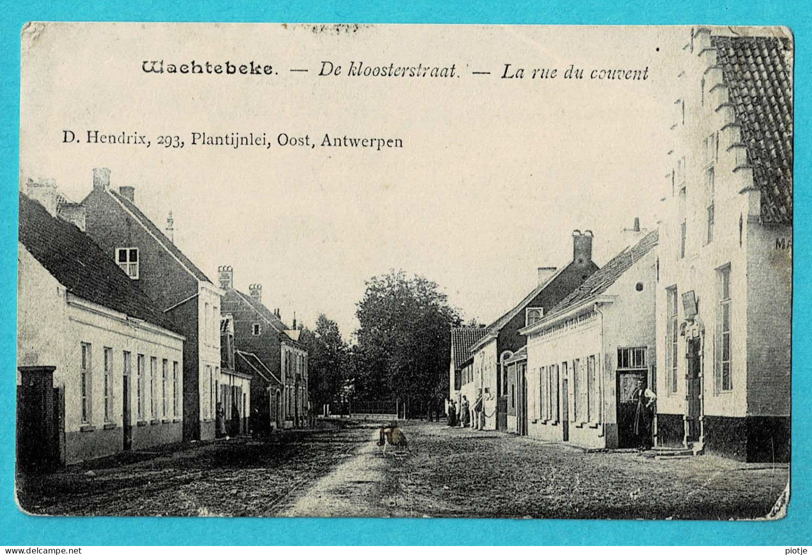 * Wachtebeke (Oost Vlaanderen) * (D. Hendrix) De Kloosterstraat, Rue Du Couvent, Unique, Zeldzaam, TOP, Rare - Wachtebeke