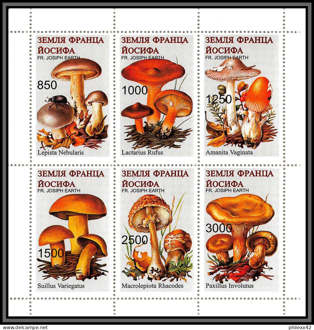 81121 USSR Josef Territory 1991 Lepista Suillus Paxillus Lactarius Amanita ** MNH Champignons Mushrooms Funghi Pilze - Other & Unclassified