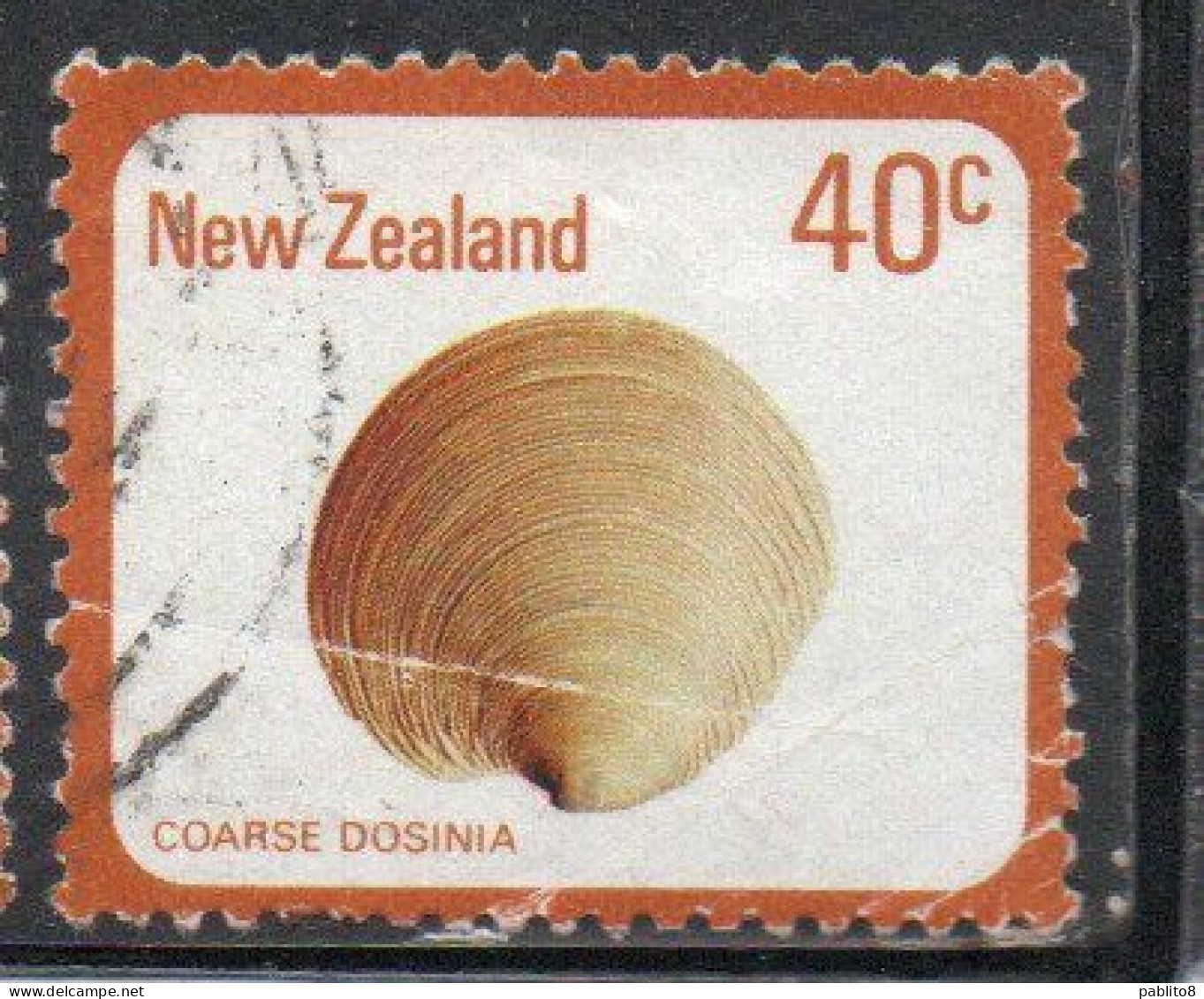 NEW ZEALAND NUOVA ZELANDA 1978 SHELLS COARSE DOSINIA ANUS 40c USED USATO OBLITERE' - Oblitérés