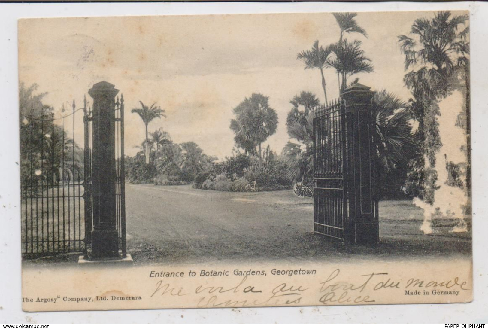 BRITISH - GUAYANA - GEORGETOWN, Botanic Gardens, 1906, Oberflächenmängel - Guyana (formerly British Guyana)