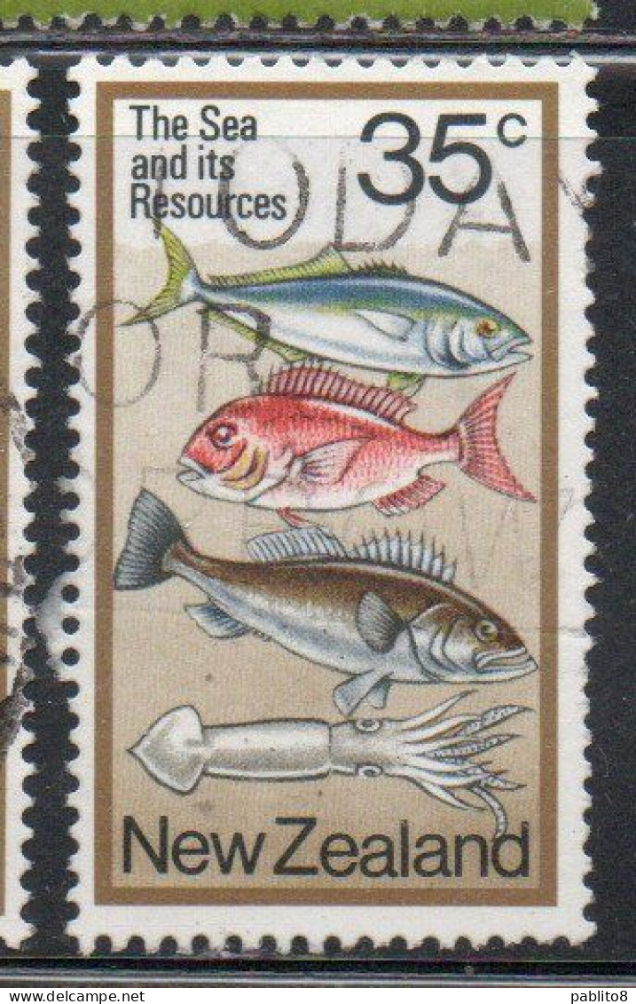 NEW ZEALAND NUOVA ZELANDA 1978 KINGFISH SNAPPER GROUPER AND SQUID 35c USED USATO OBLITERE' - Used Stamps
