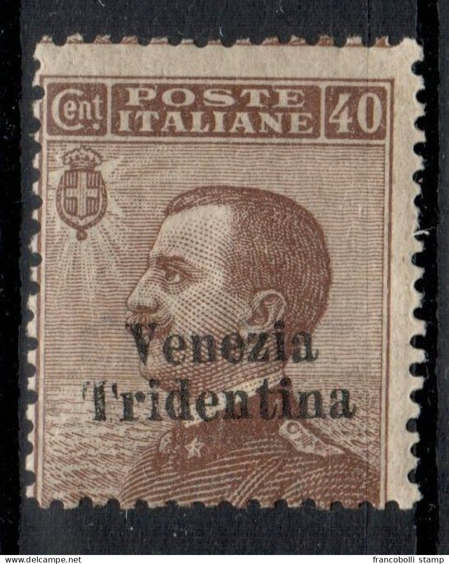 1918 Francobolli D'Austria Venezia Tridentina MNH - Trentino