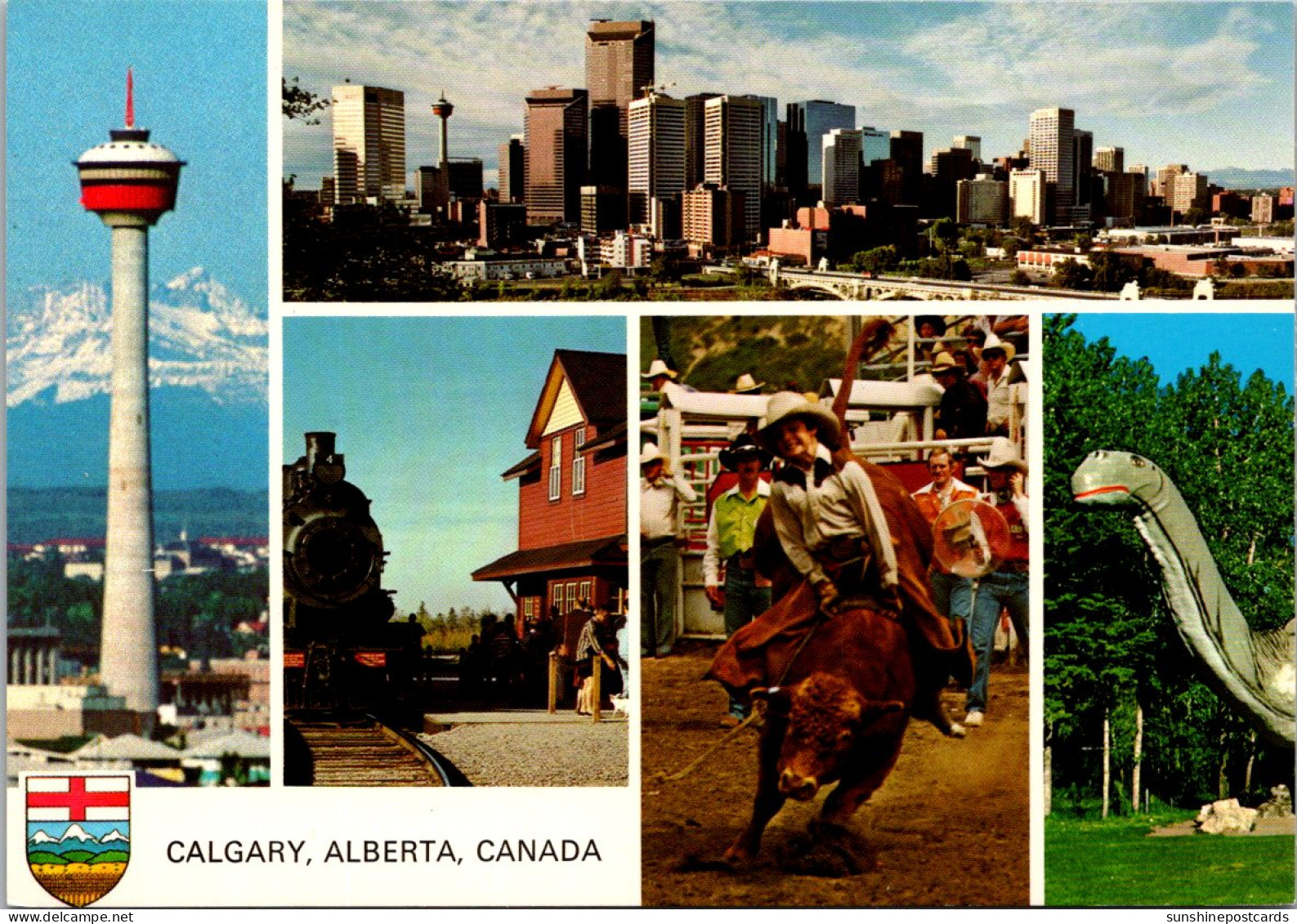 Canada Calgary Multi View Calgary Tower Stampede Zoo And More - Calgary