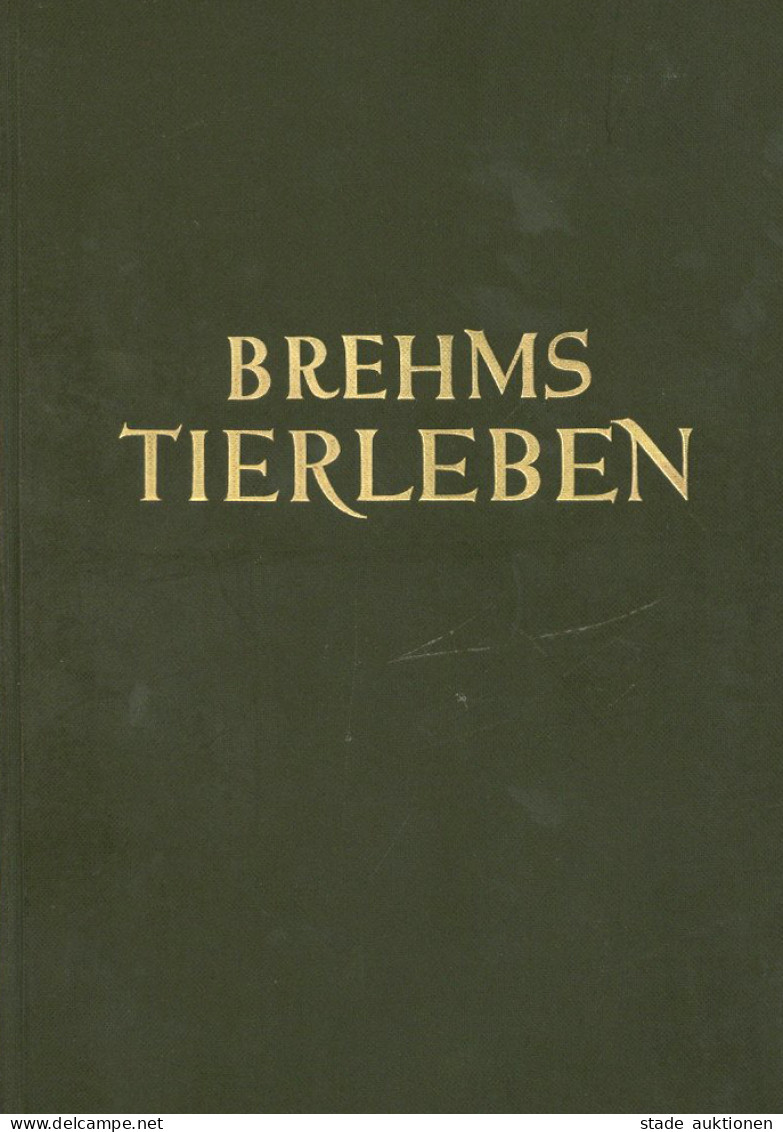 Buch Brehms Tierleben In Einem Band Von Georg Grimpe 1928, Verlag Bibliographisches Institut Leipzig, 837 S. II - Sonstige & Ohne Zuordnung