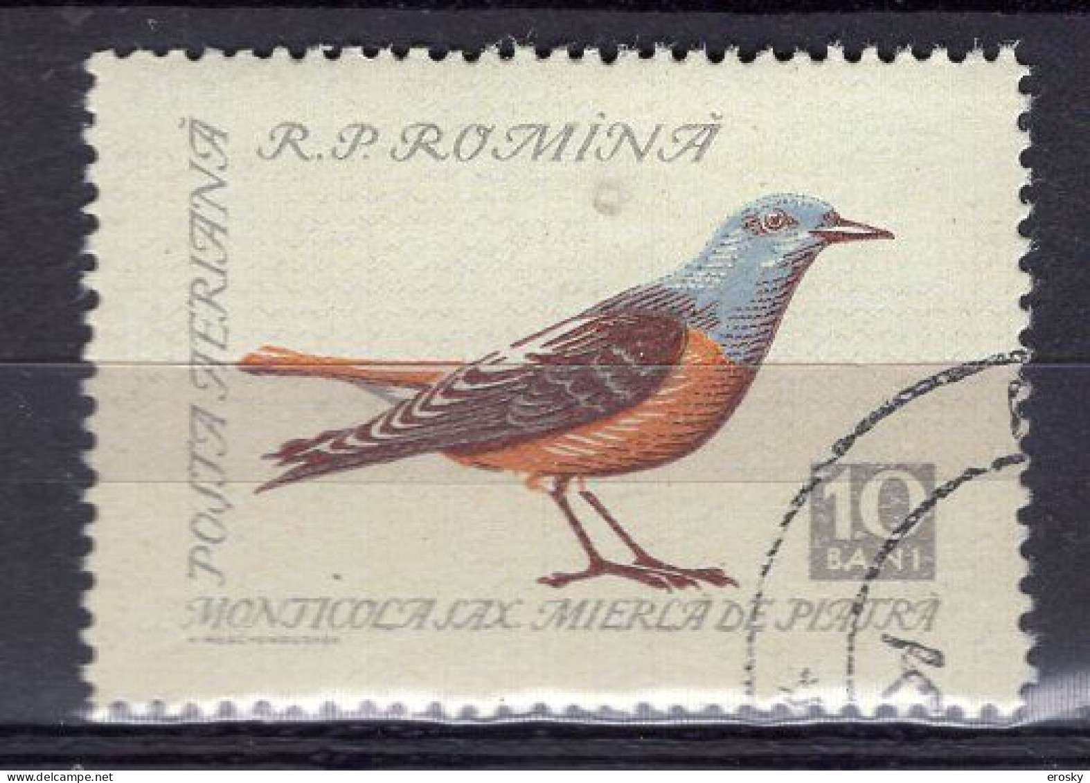 S2636 - ROMANIA ROUMANIE AERIENNE Yv N°91 - Used Stamps