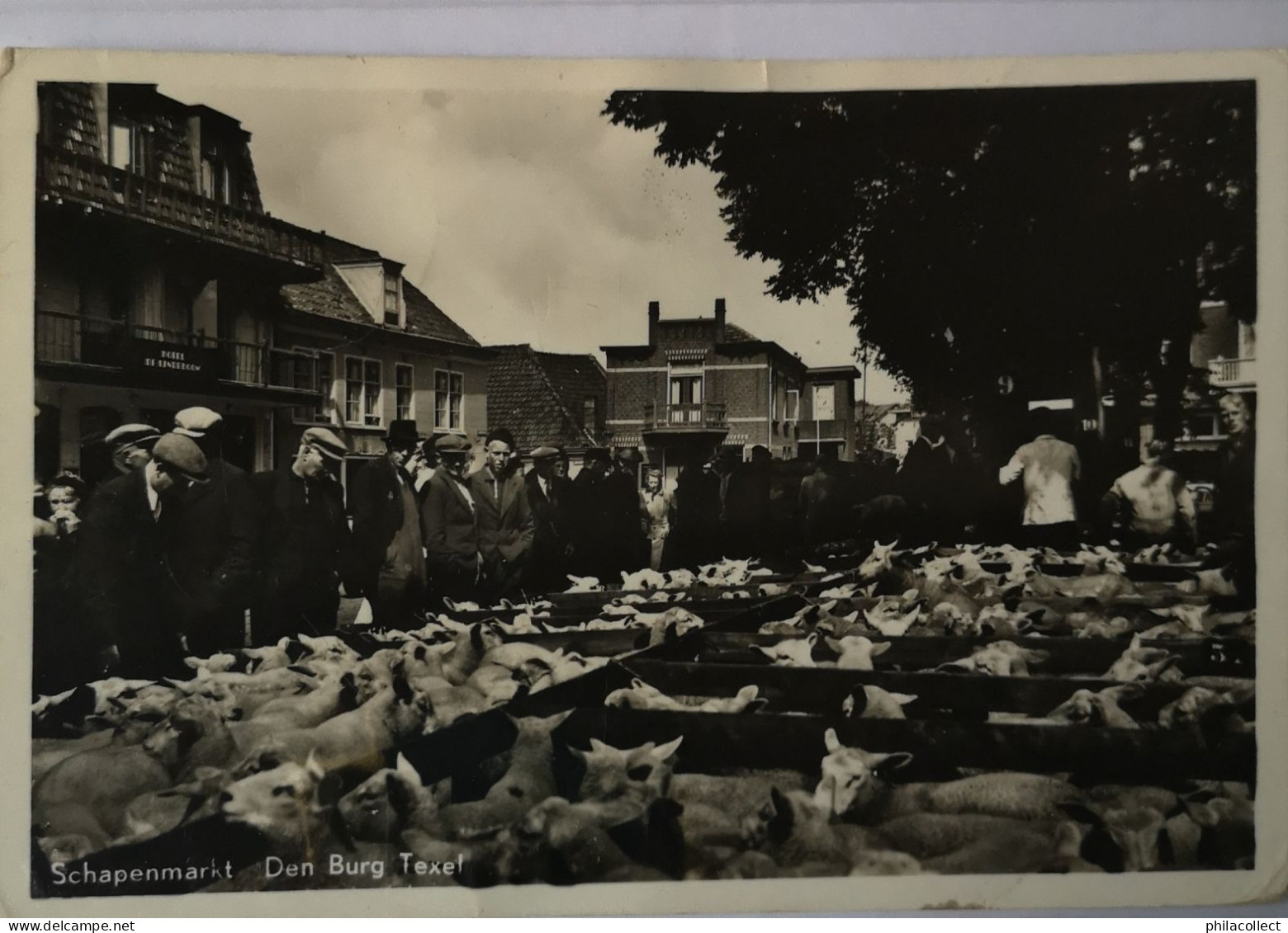 Den Burg Texel // Schapenmarkt 19?? - Texel