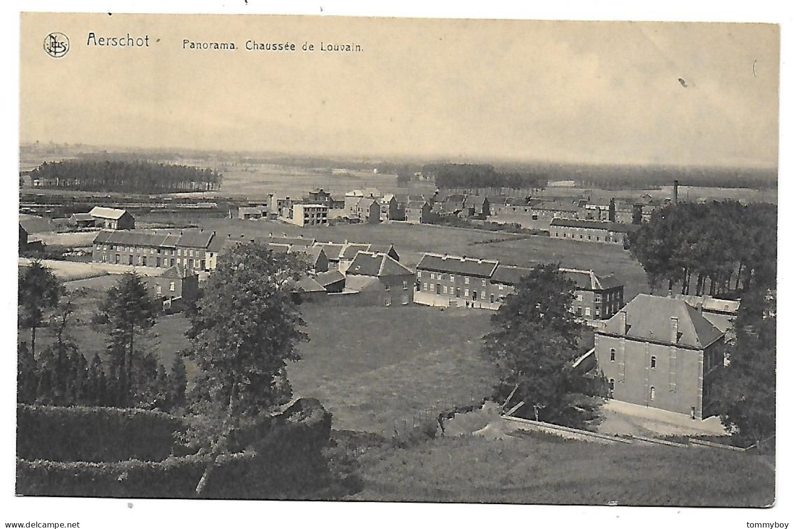 CPA Aerschot, Panorama, Chaussée De Louvain - Aarschot