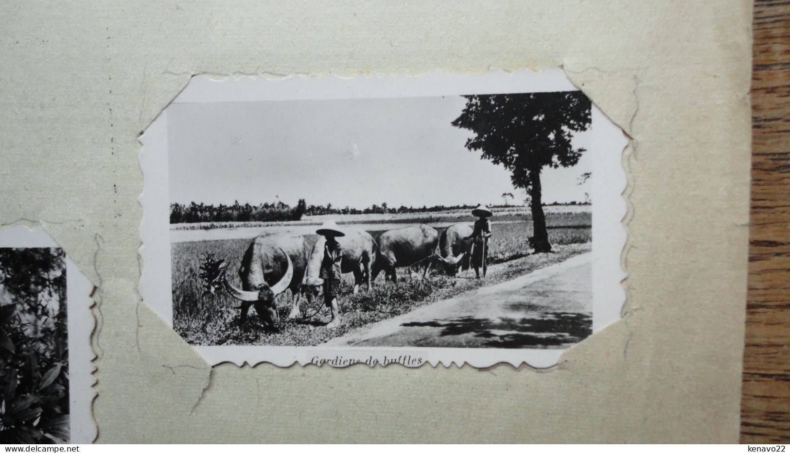 assez rare 10 petites photos ( 6,5 x 4 cm ) du vietnam année 1955 ( les photos sont pas collée )