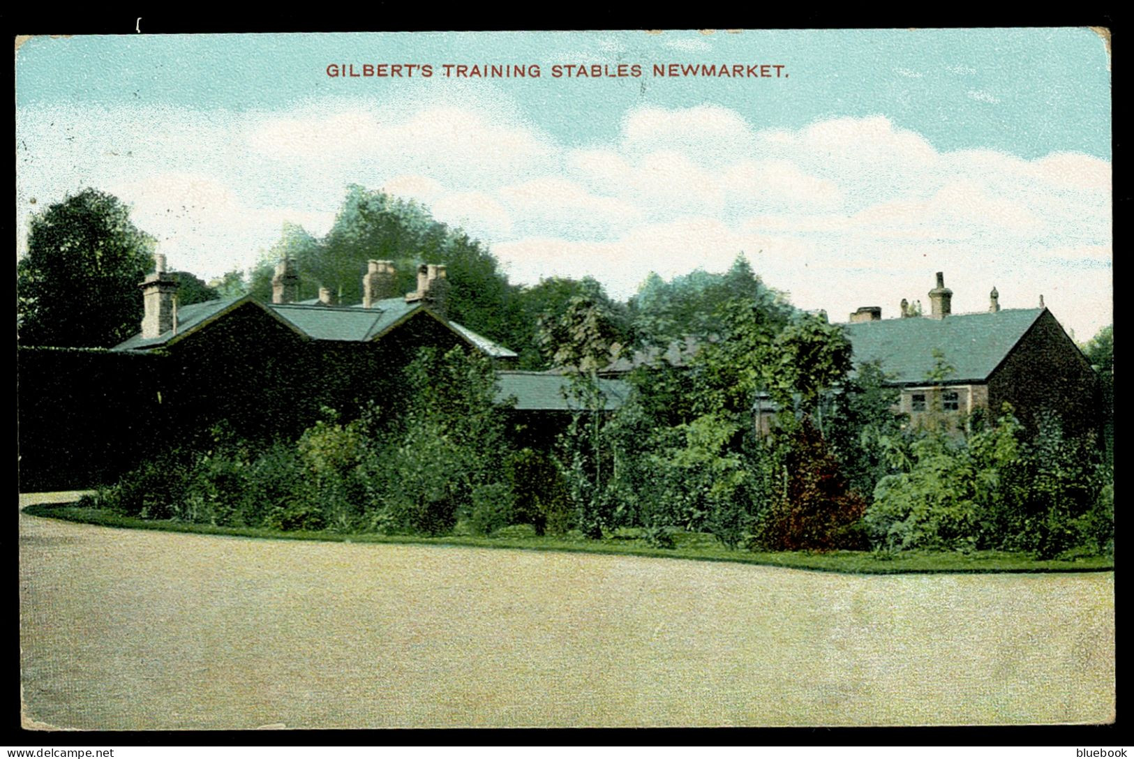 Ref 1632 - 1905 Postcard - Gilbert's Training Stables Newmarket - Hoseracing Theme - Sonstige & Ohne Zuordnung