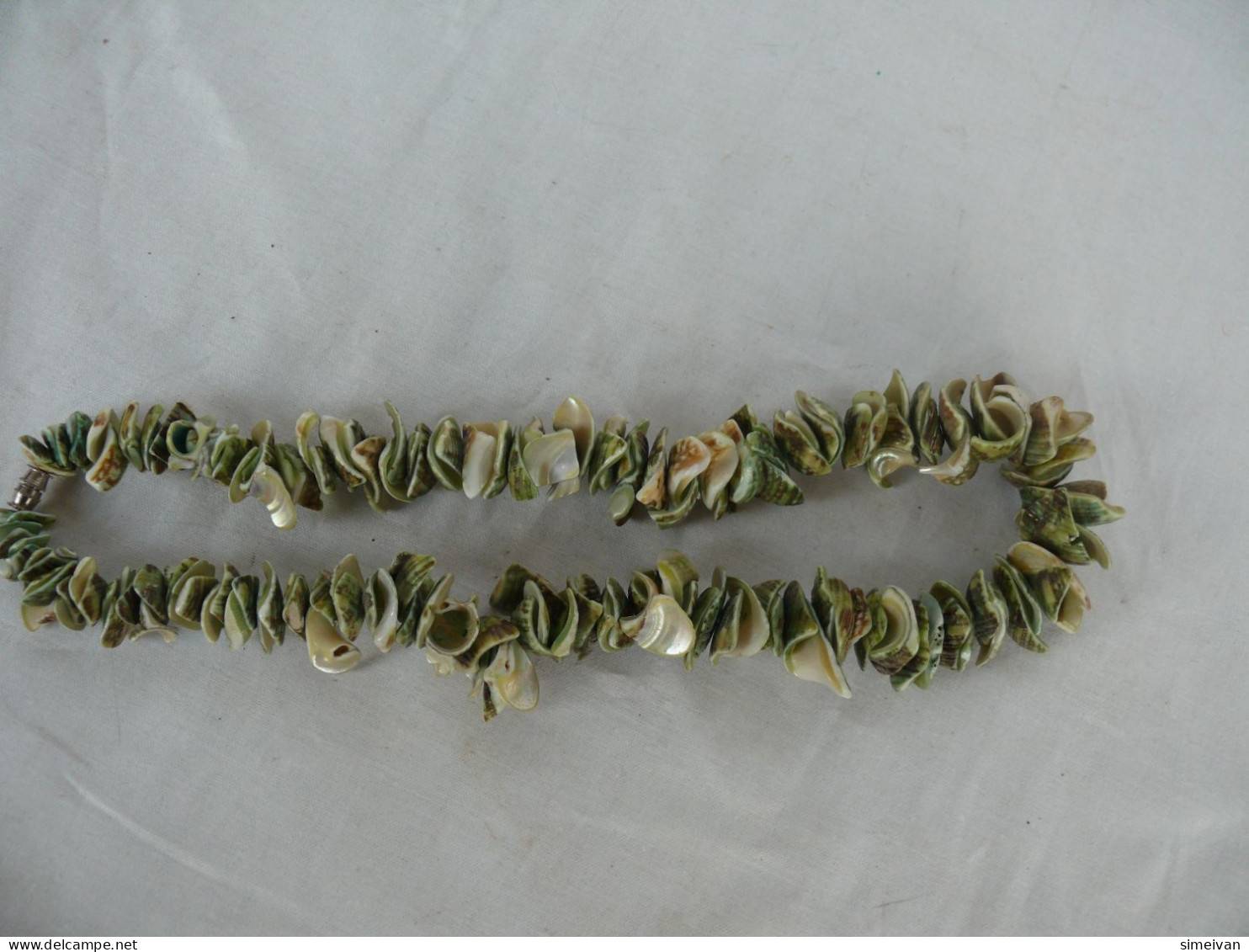 Beautiful Natural Shells Necklace Green Tone #1518 - Halsketten