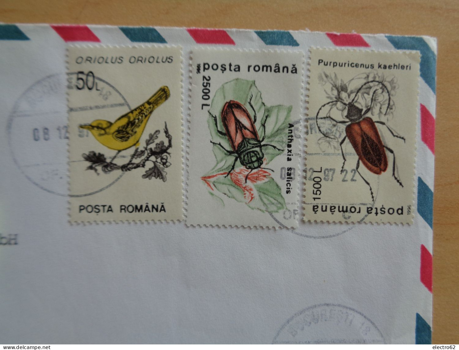 Roumanie Romana Romãnia Bucarest Oiseau Pasãre Insecte Bird Vogel Pájaro Insecto Insekt Insect Insectã - Lettres & Documents