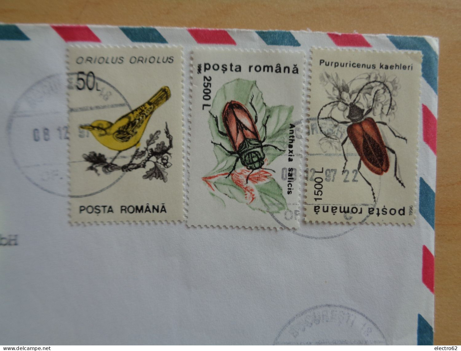 Roumanie Romana Romãnia Bucarest Oiseau Pasãre Insecte Bird Vogel Pájaro Insecto Insekt Insect Insectã - Storia Postale