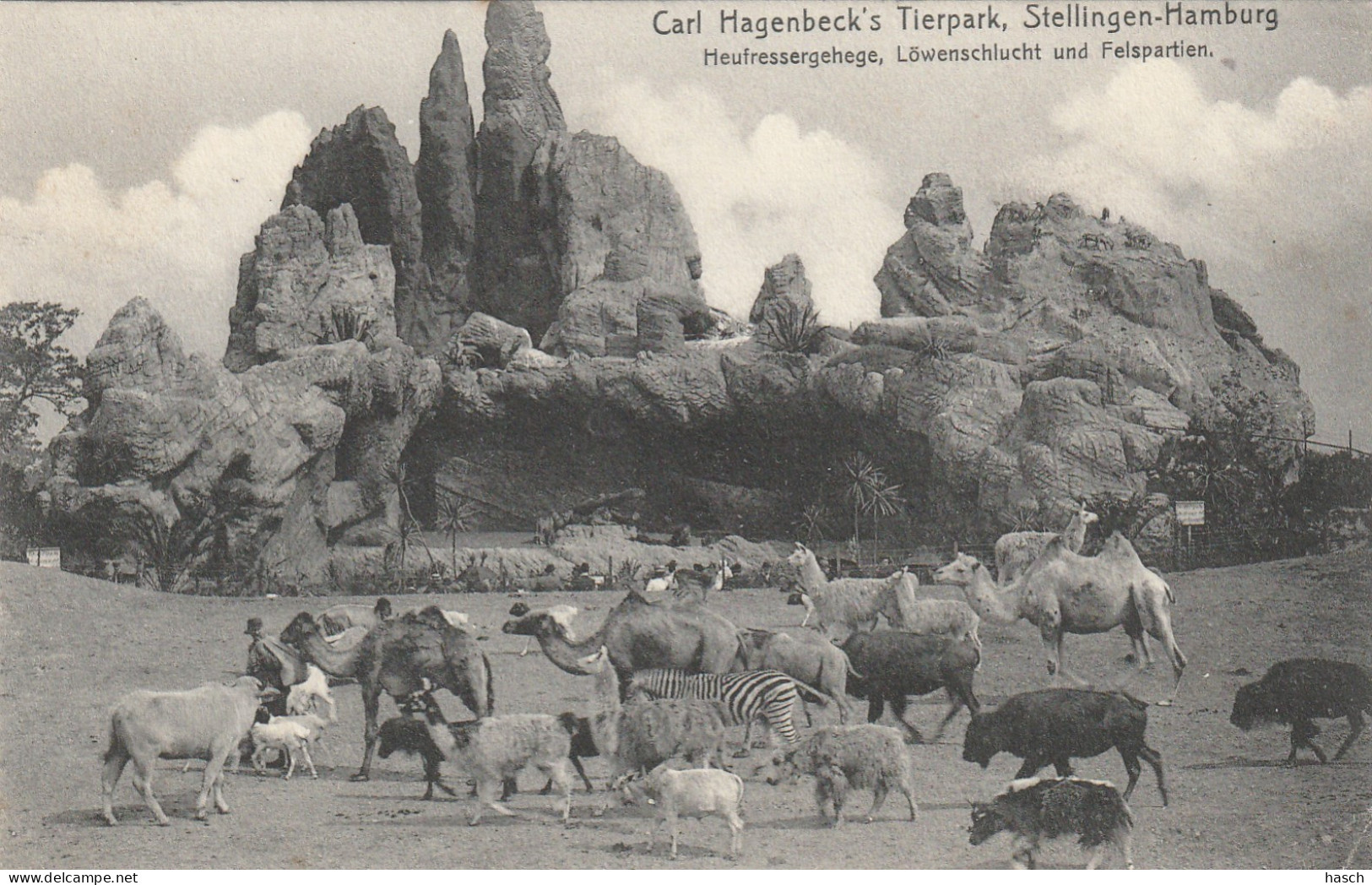 4912 79 Hamburg, Carl Hagenbeck's Tierpark Heufressergehege Löwenschlucht Und Felspartien. Unten Rechts Falte - Stellingen