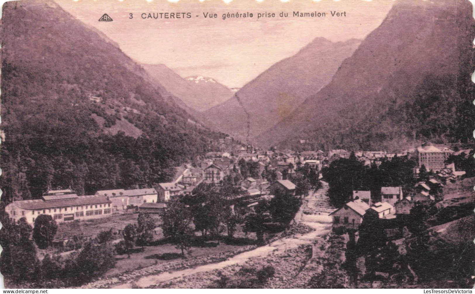 FRANCE - Cauterets - Vue Générale Prise Du Mamelon Vert - Carte Postale Ancienne - Cauterets