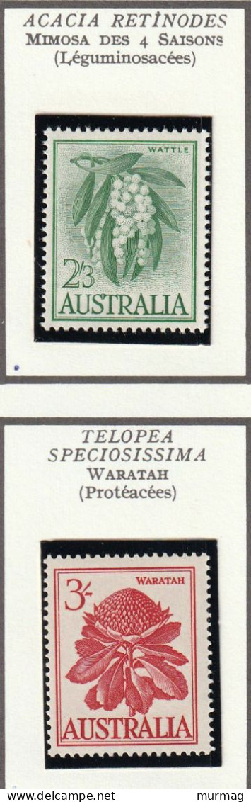 AUSTRALIE - Fleurs, Flowers, Mimosa, Waratah, Fleur De Flanelle - Y&T N° 256-260 - 1958-60 - MNH - Nuovi