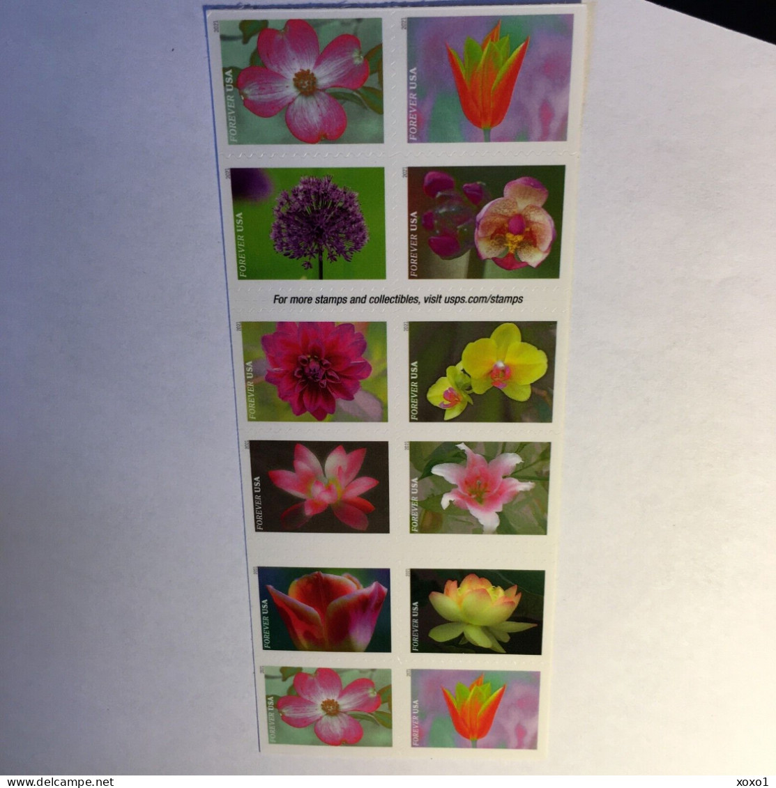USA 2021 MiNr. 5791 - 5800 Plants, Flowers Garden Beauty 20v MNH** 26,00 € - Nuevos