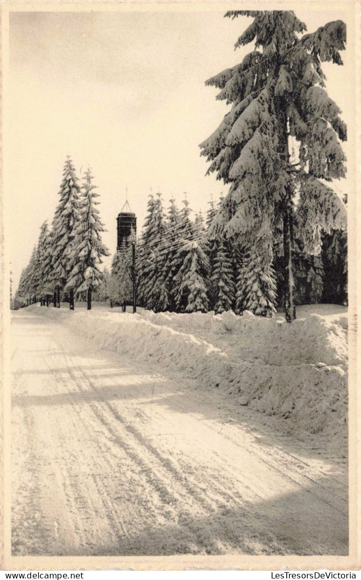 BELGIQUE - Waimes - Signal De Botrange Sous La Neige  - Carte Postale Ancienne - Waimes - Weismes