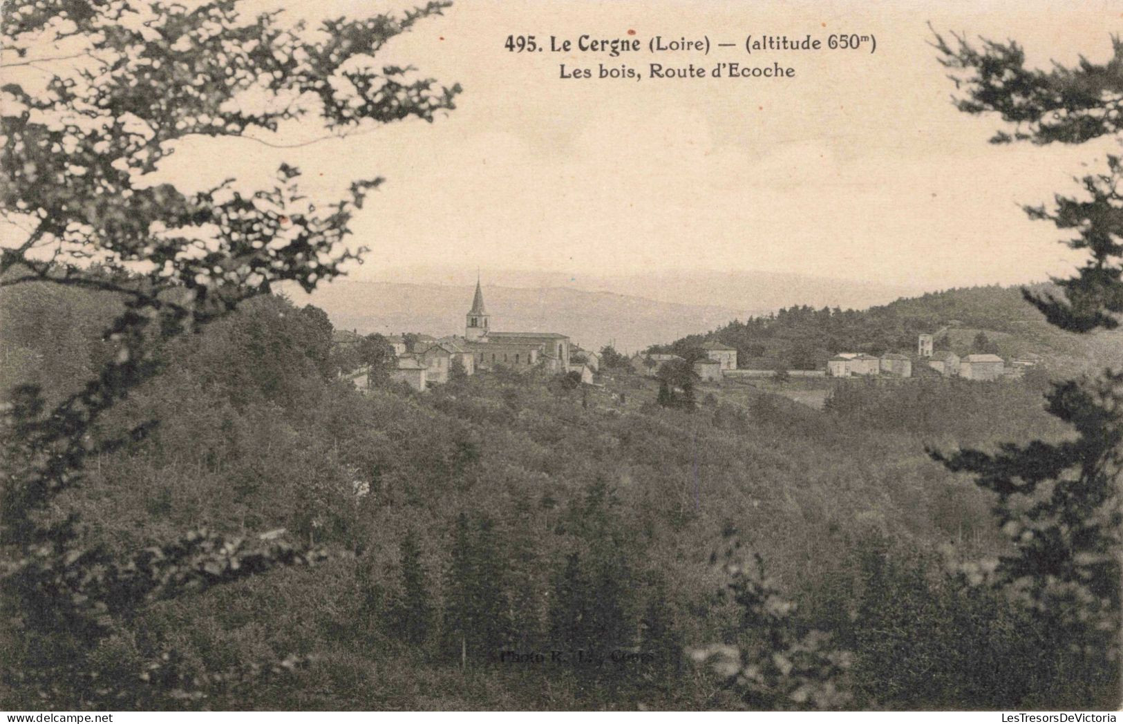 FRANCE - Loire - Le Cergne - Les  Bois - Route D'Ecoche - Carte Postale Ancienne - Otros & Sin Clasificación