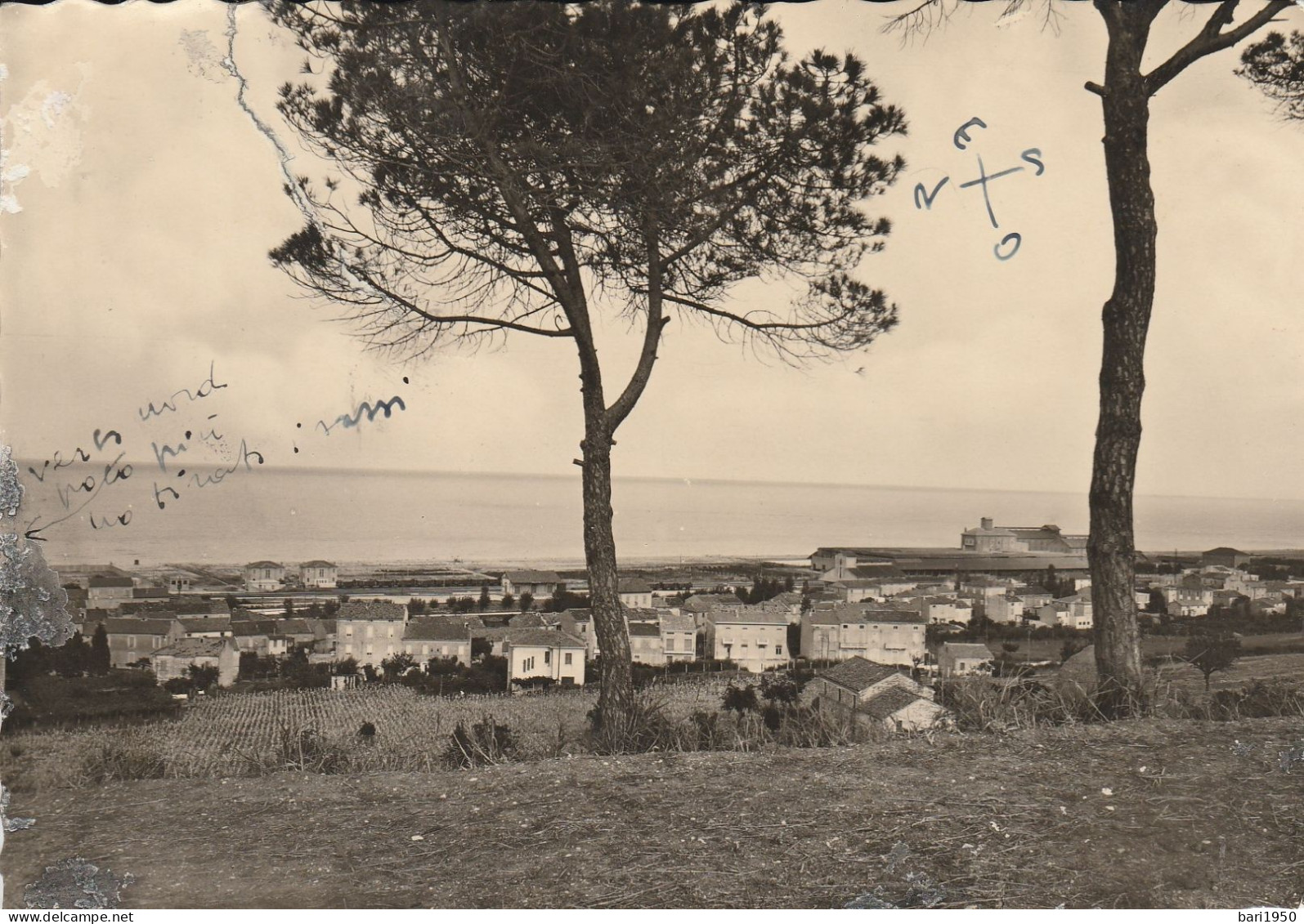 PANORAMA - PORTO S.ELPIDIO - Fermo