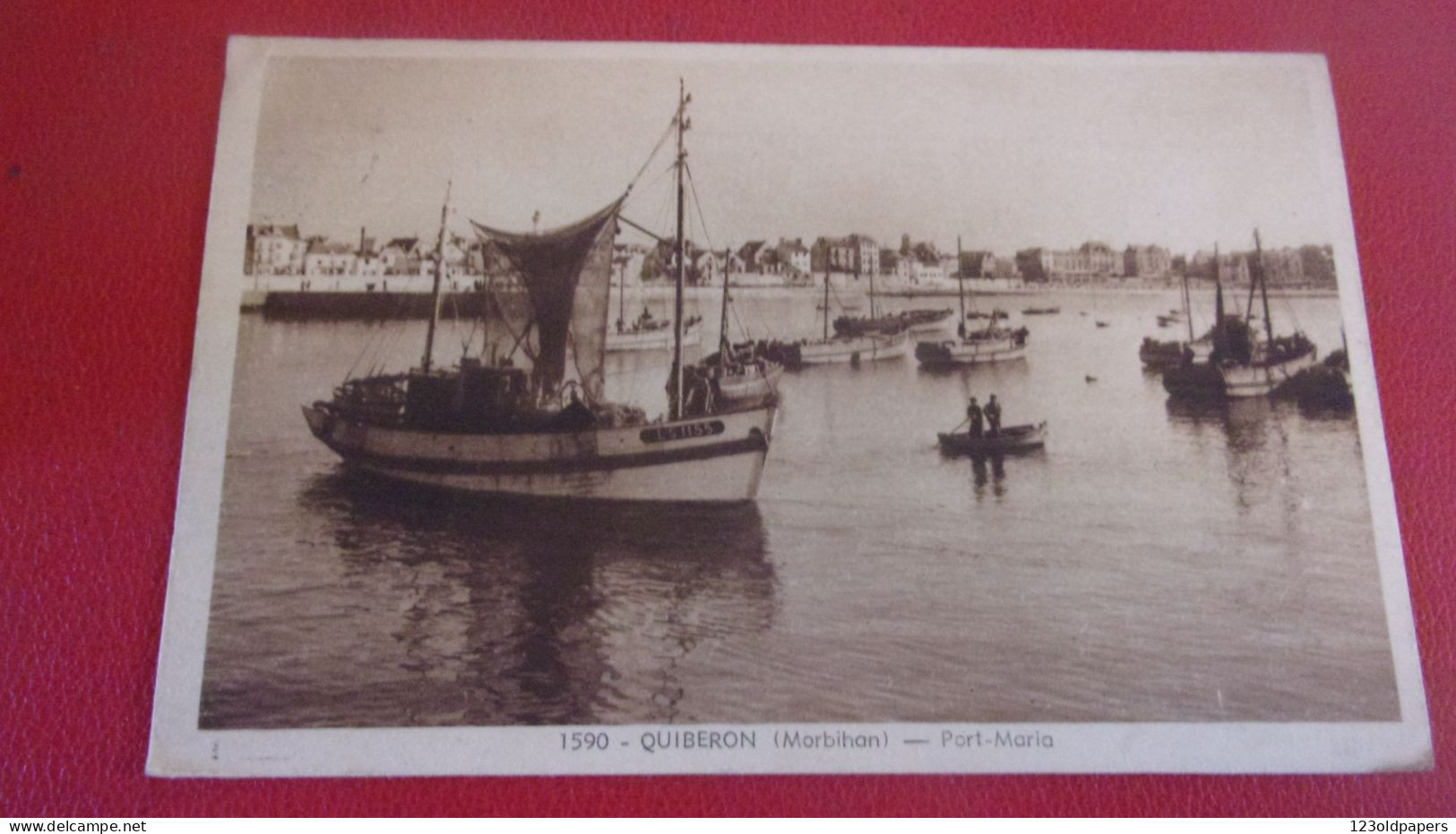 56 QUIBERON PORT MARIA  1949 - Quiberon