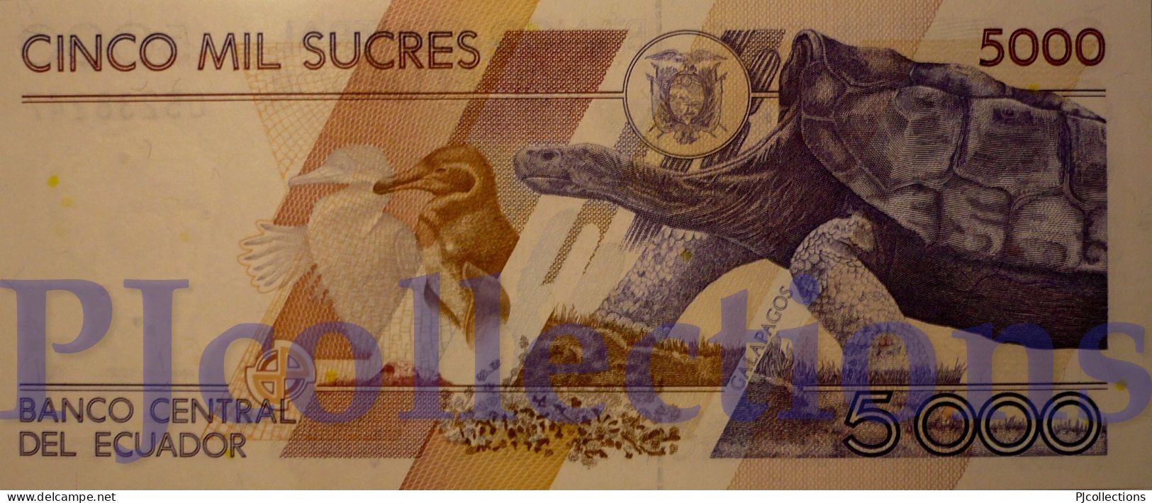 ECUADOR 5000 SUCRES 1995 PICK 128b UNC - Ecuador