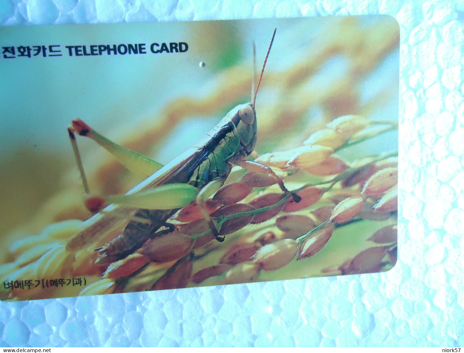 KOREA   USED CARDS  INSECTS - Altri & Non Classificati