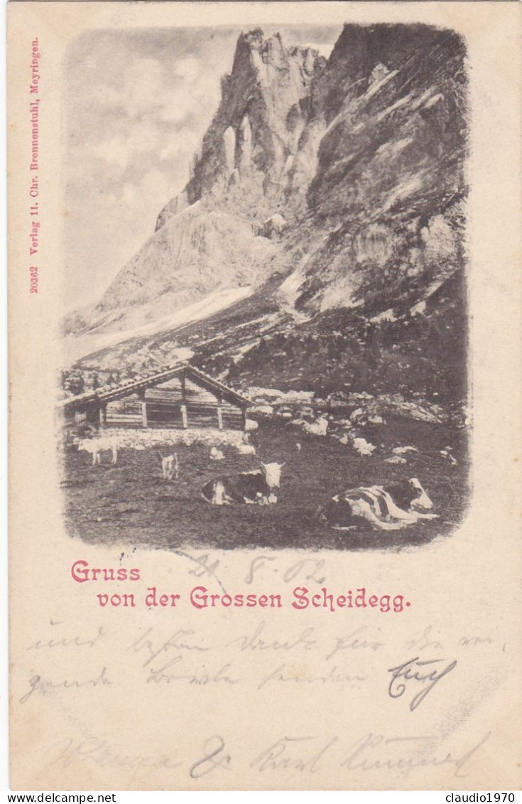 SVIZZERA - CARTOLINA  - GRUSS VON DER GROSSER SCHEIDEGG -  VIAGGIATA  - 1902 - Egg