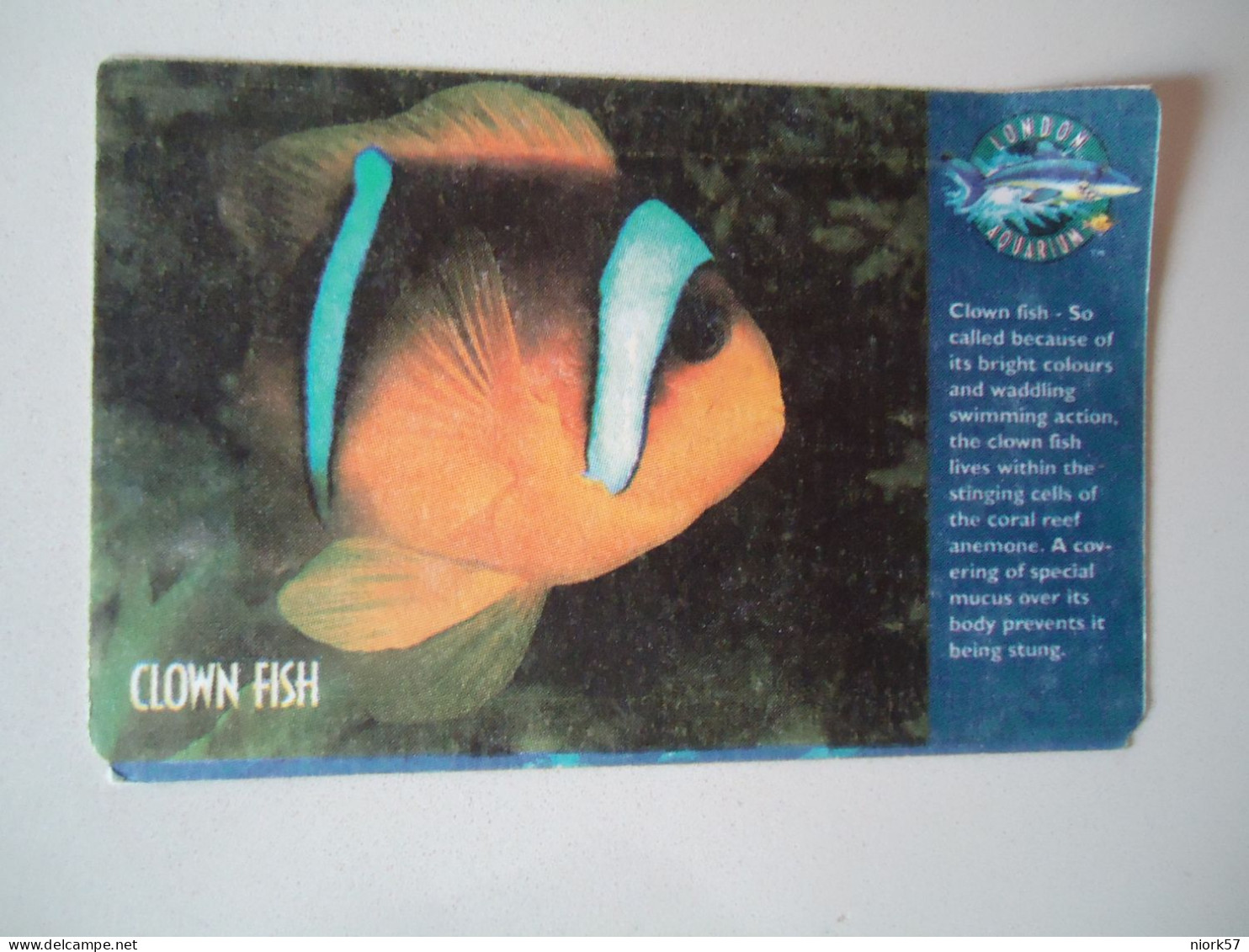 UNITED   KINGDOM  TICKETS  FISH FISHES   2 SCAN - Vissen