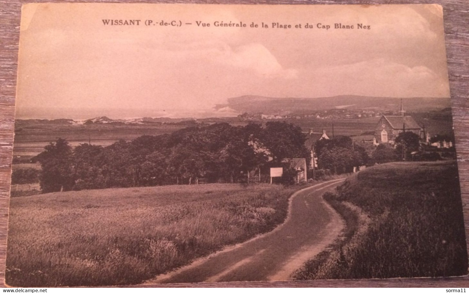 CPA WISSANT 62 Vue Générale De La Plage Et Du Cap Blanc Nez - Wissant