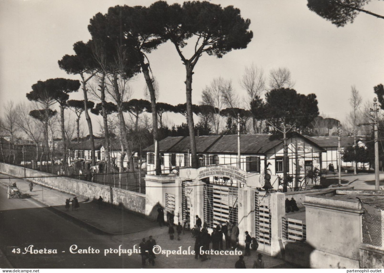 Cartolina  - Postcard /  Viaggiata - Sent  /  Aversa - Centro Profughi  ( Gran Formato ) - Aversa