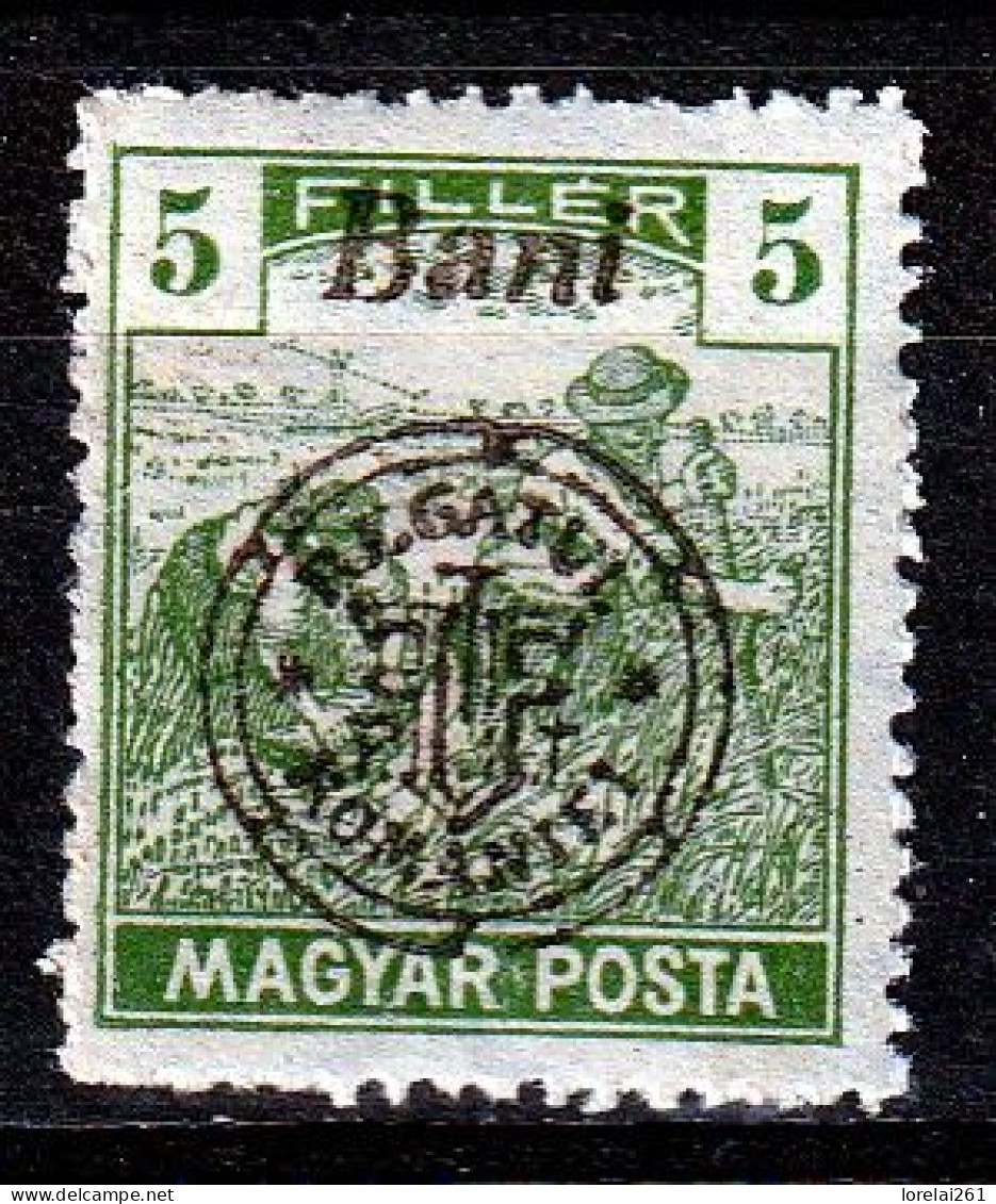 1919 - Romanian Occupation In Hungary  Mi No  28 II  LES SACKER - Foreign Occupations