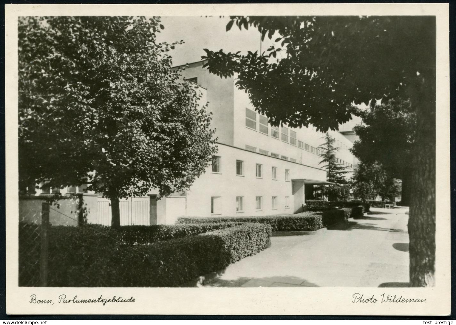 (22c) BONN/ VERKÜNDIGUNG/ DES/ GRUNDGESETZES/ PARLAMENT.RAT 1949 (23.5.) SSt Je Auf 2 Verschiedenen S/w.-Foto-Sonder-Ak. - Sonstige & Ohne Zuordnung