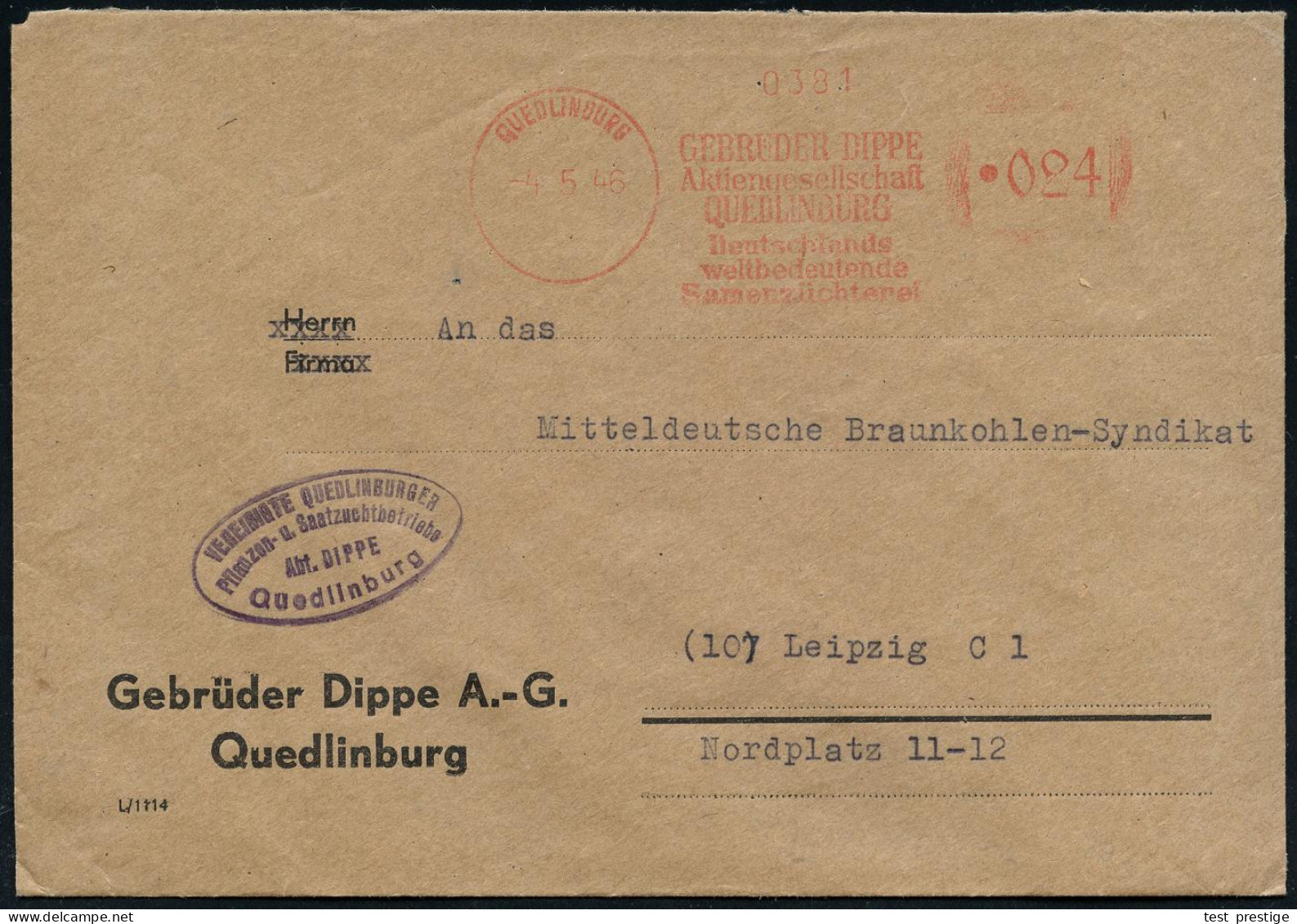 QUEDLINBURG/ GEBRÜDER DIPPE/ AG./ ..Samenzüchterei 1946 (4.5.) Seltener Aptierter AFS Francotyp "Hakenkreuz" = Entfernt  - Andere & Zonder Classificatie