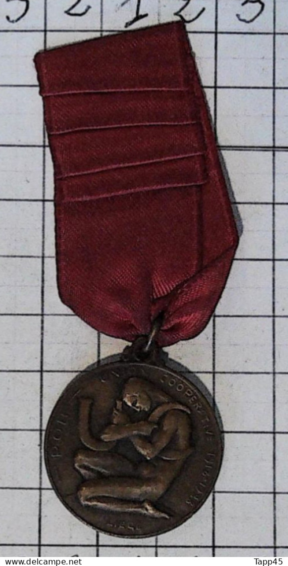 Medaille > Liège > Médaille 10 Ans De L'Union > 1918/1928  > Réf:Cl Belge  Pl 2/ 2 - Belgium