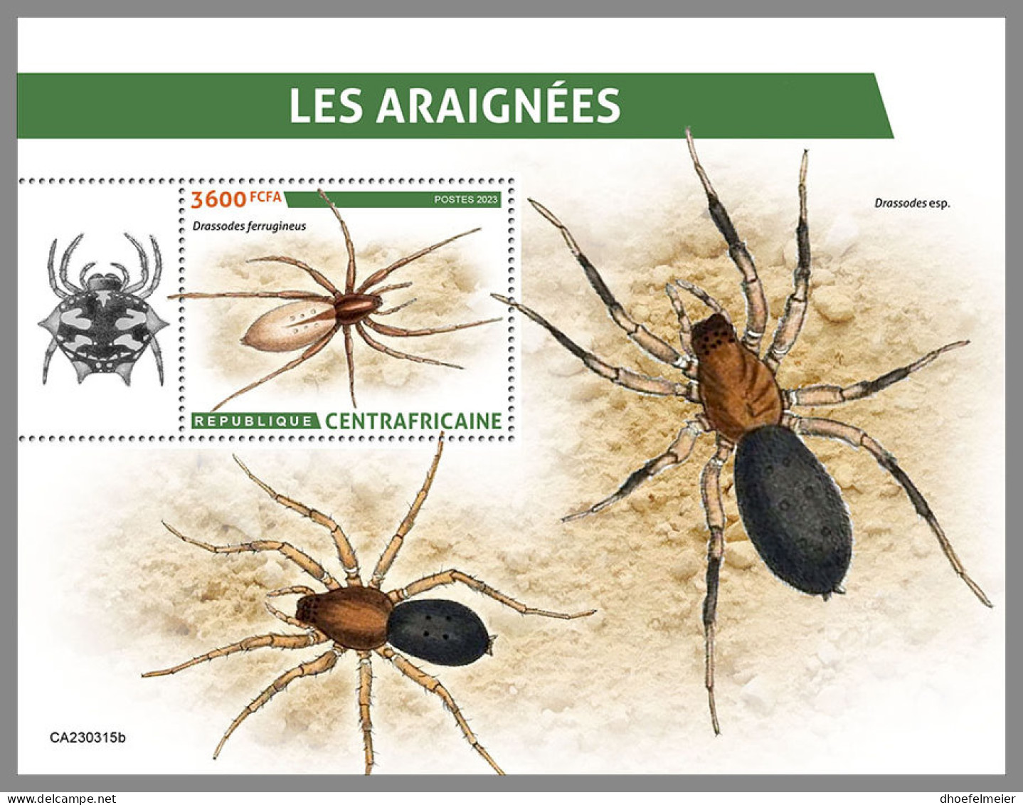 CENTRAL AFRICAN REP. 2023 MNH Spiders Spinnen Araignees S/S - OFFICIAL ISSUE - DHQ2337 - Spinnen