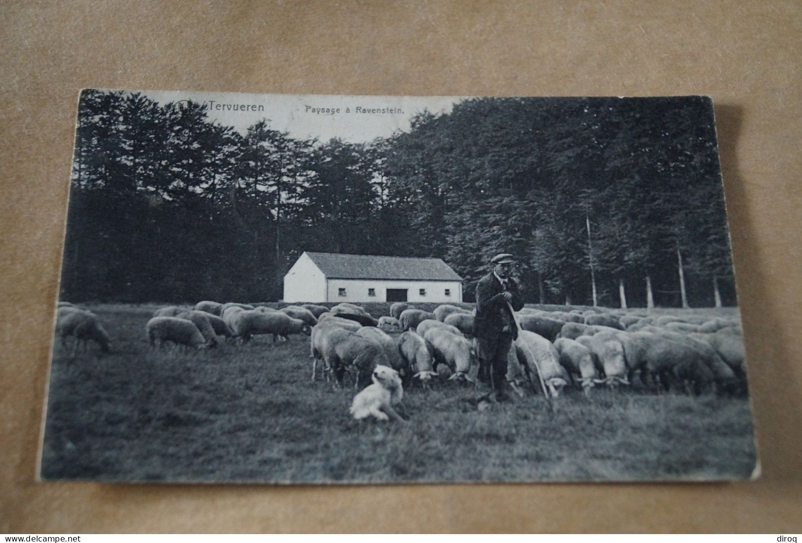 Tervuren,paysage Ravenstein, 1913 ,belle Carte Ancienne - Tervuren