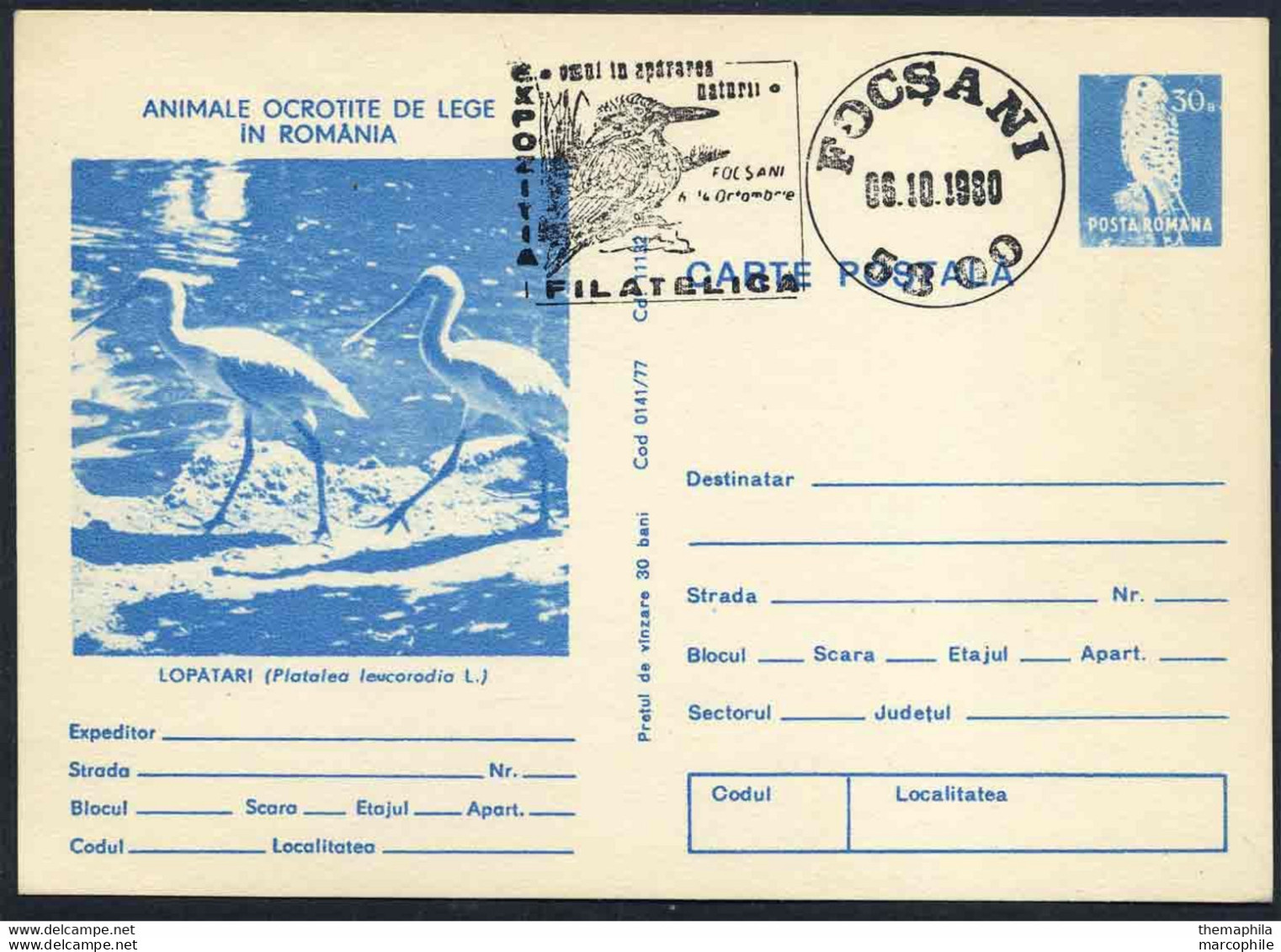 SPATULE BLANCHE - PLATALEA LEUCORODIA - PELICANIFORME / 1980 ROUMANIE ENTIER POSTAL ILLUSTRE (ref 739c) - Pelícanos