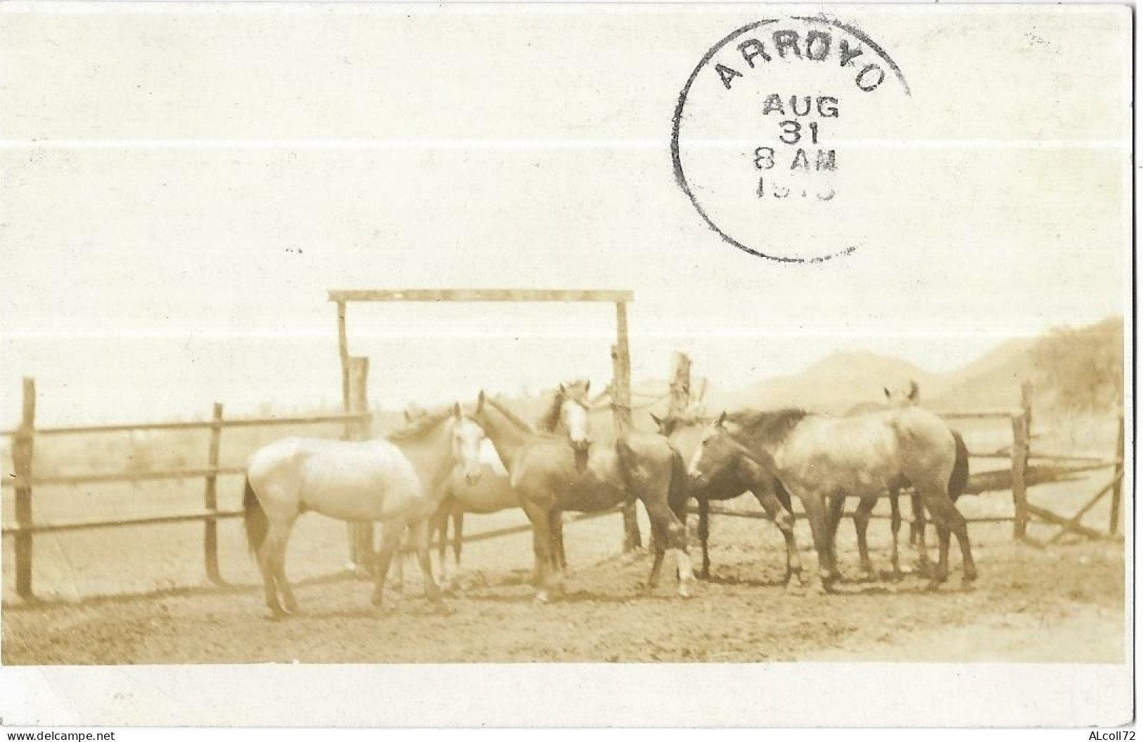 CARTE-PHOTO Cachet De Départ ARROYO: Chevaux - Oakland