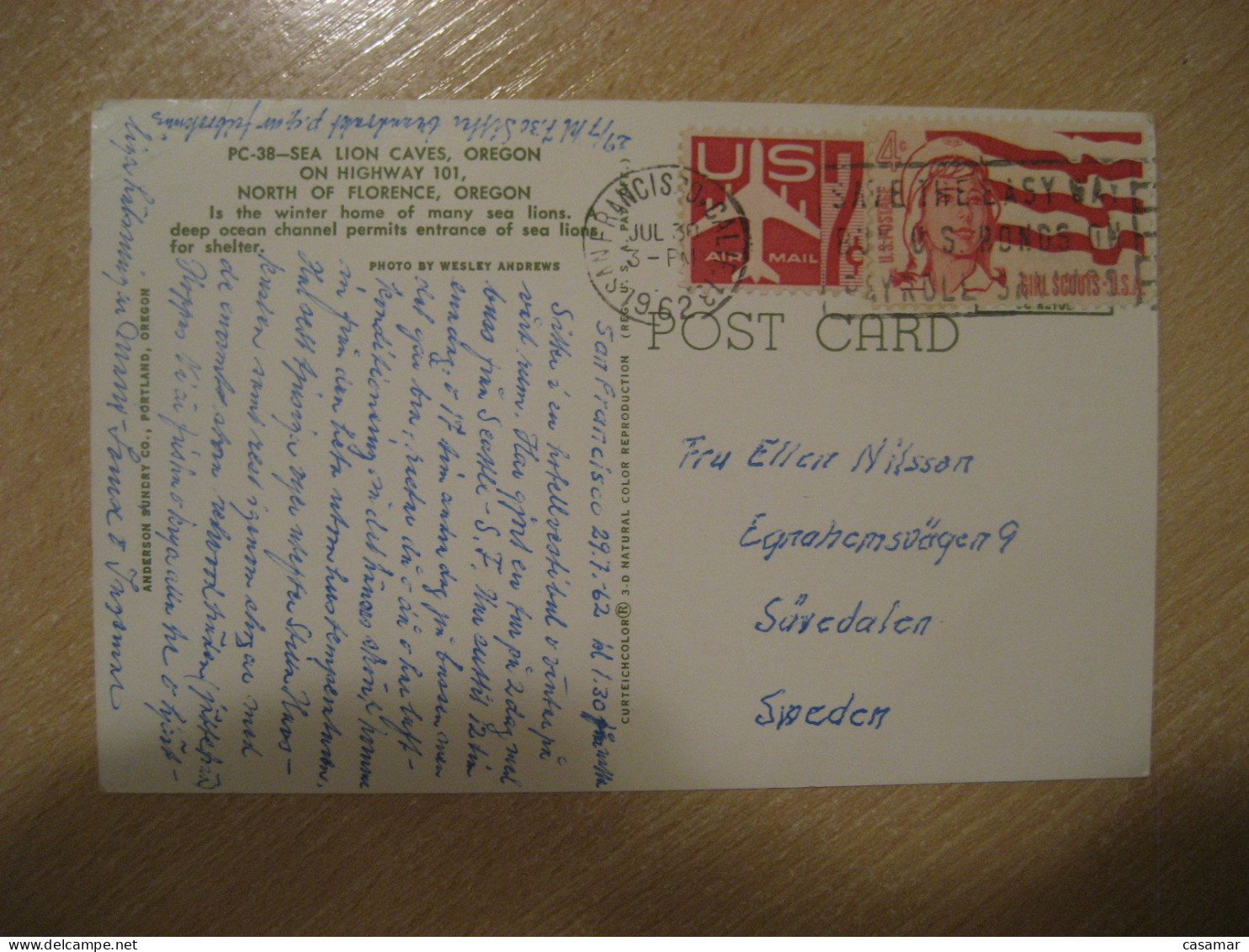 FLORENCE North Oregon Sea Lion Caves Cacnel SAN FRANCISCO 1962 To Sweden Postcard USA - Altri & Non Classificati