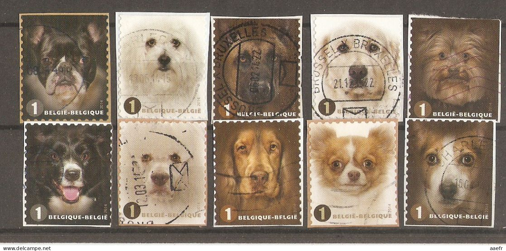 Belgique 2014 - Faces De Chiens - Petit Lot De 10 Timbres° Sur Fragments Du Carnet B145 - 10 Différents - Sin Clasificación