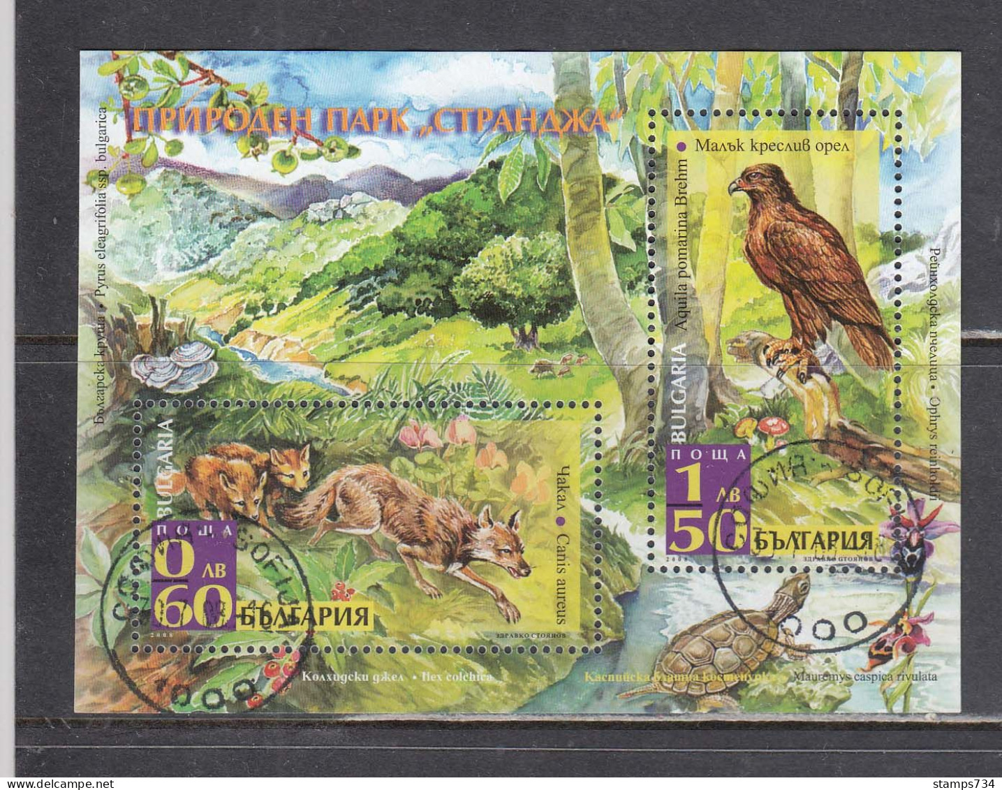 Bulgaria 2008 - Strandzha Natural Park: Animals, Mi-Nr. Block 303, Used - Gebraucht